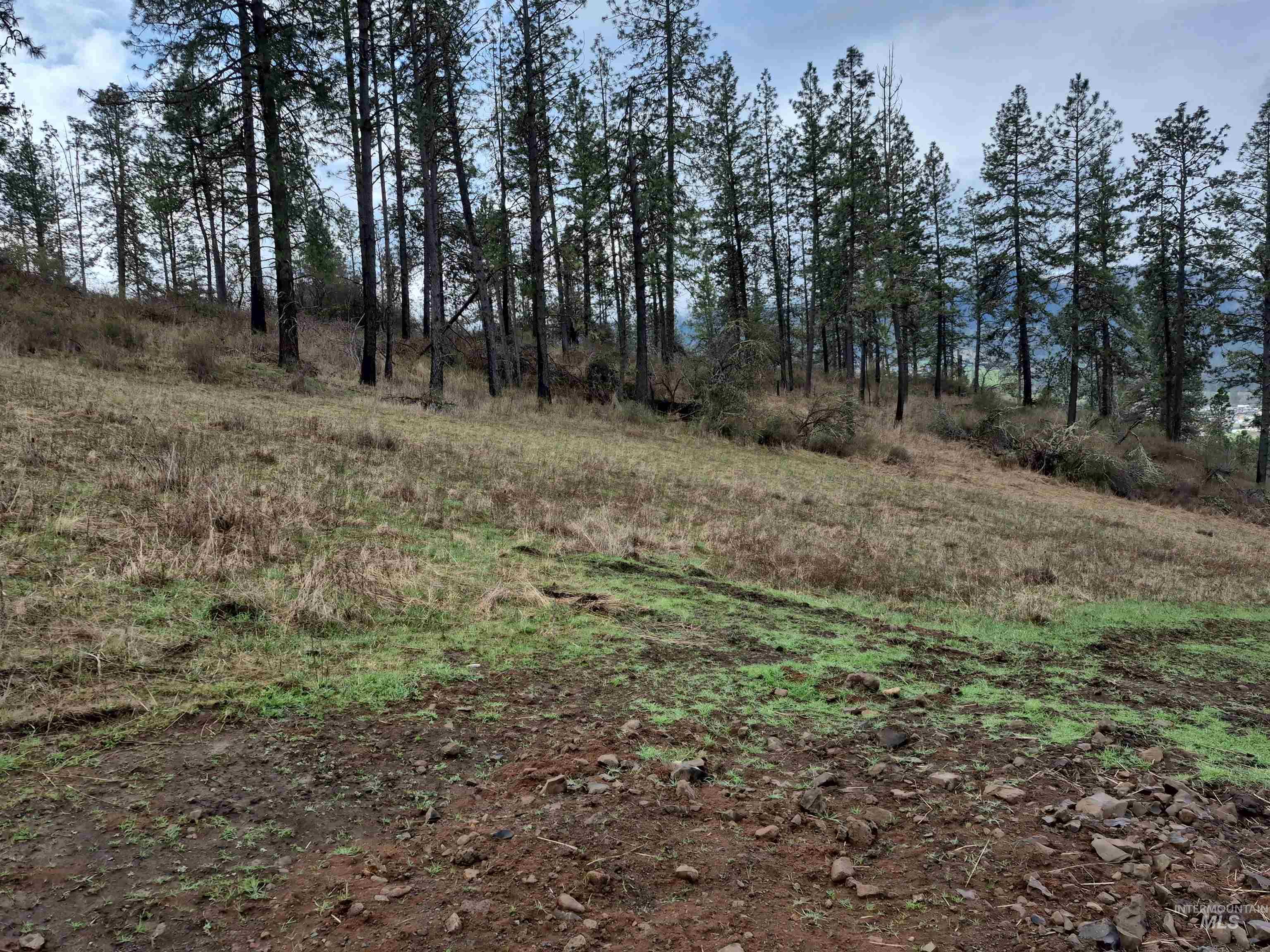 147 Elk Hill St., Kamiah, Idaho 83536, Land For Sale, Price $189,000,MLS 98993638