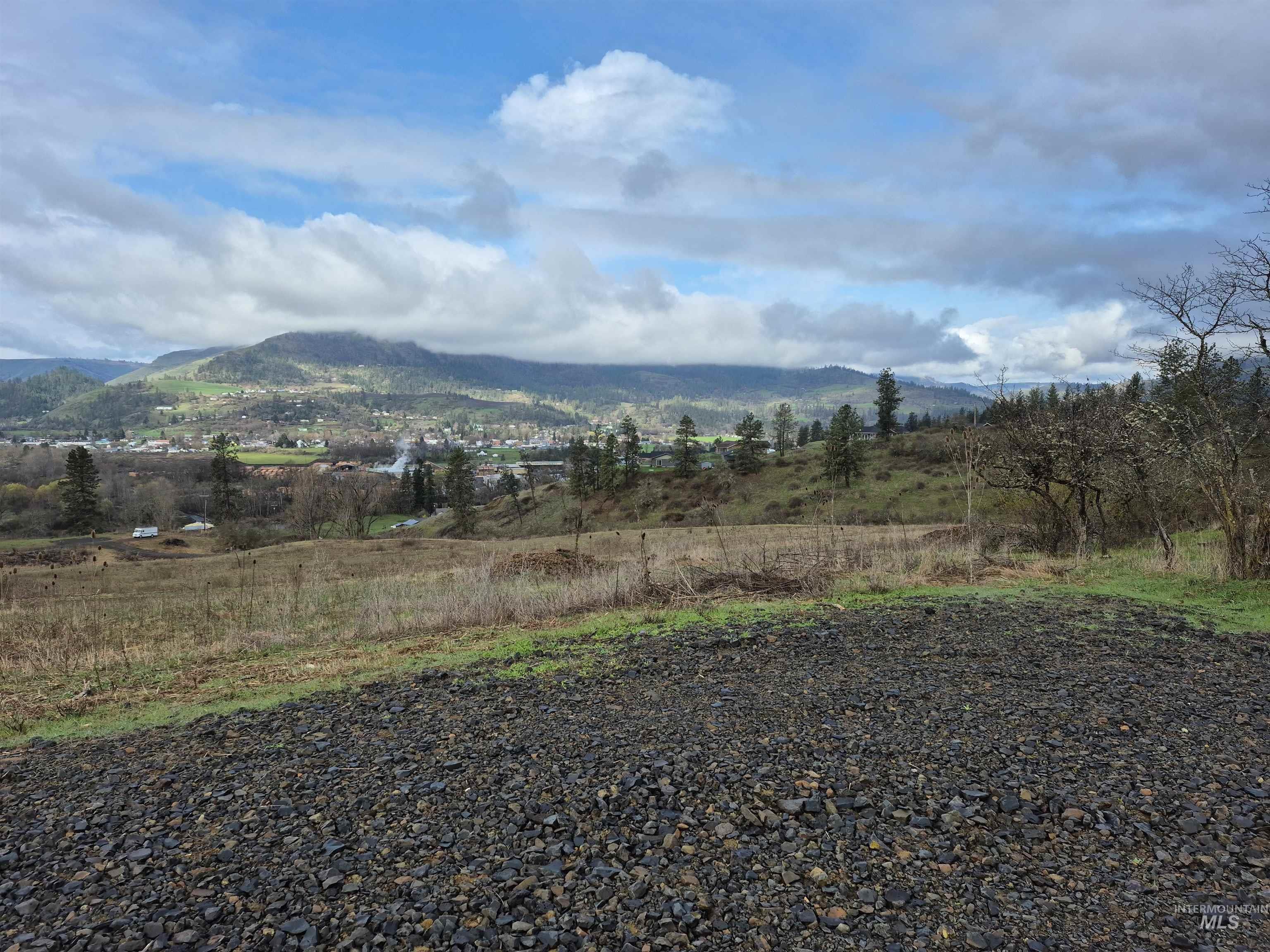 147 Elk Hill St., Kamiah, Idaho 83536, Land For Sale, Price $189,000,MLS 98993638
