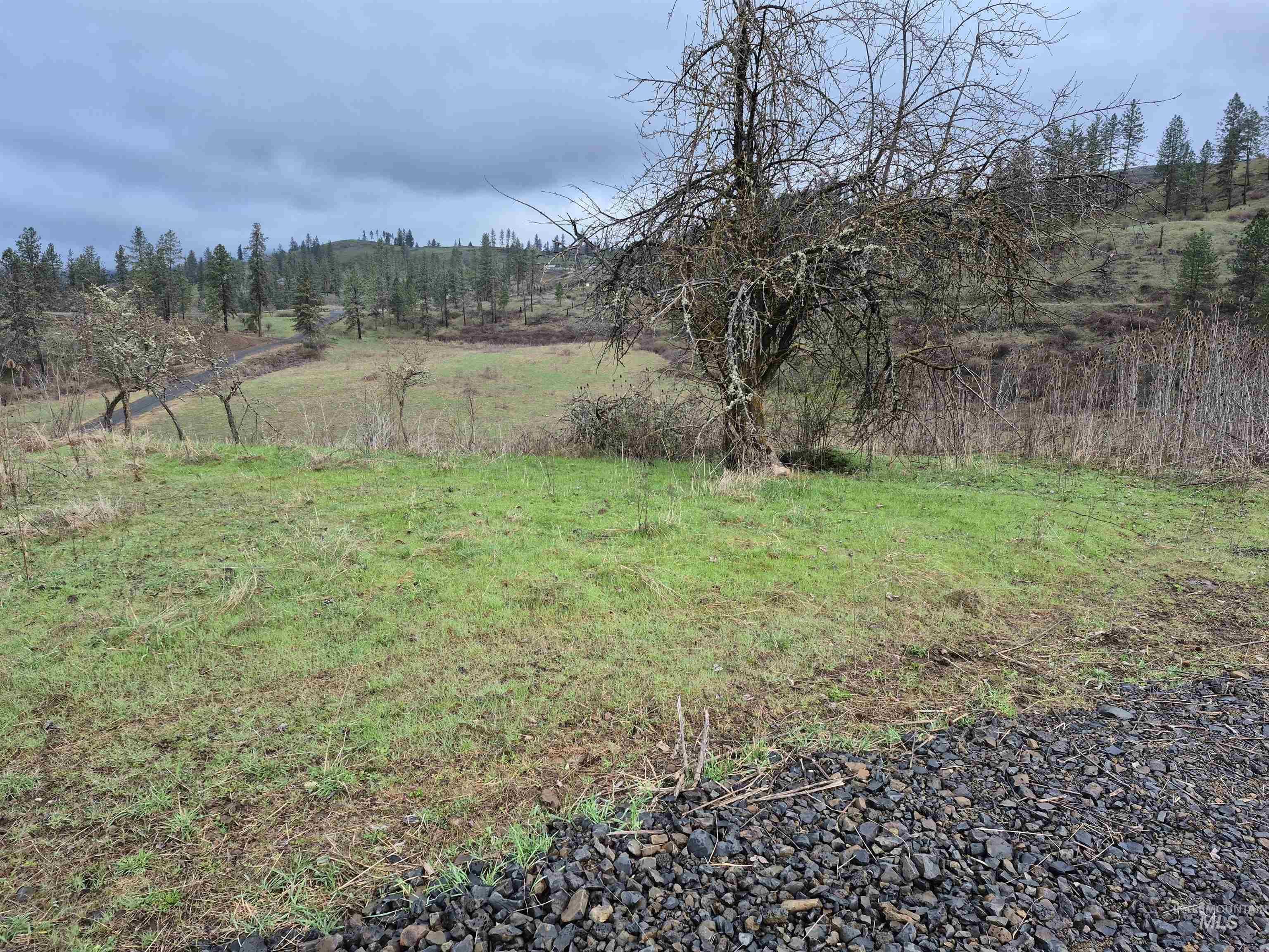 147 Elk Hill St., Kamiah, Idaho 83536, Land For Sale, Price $189,000,MLS 98993638