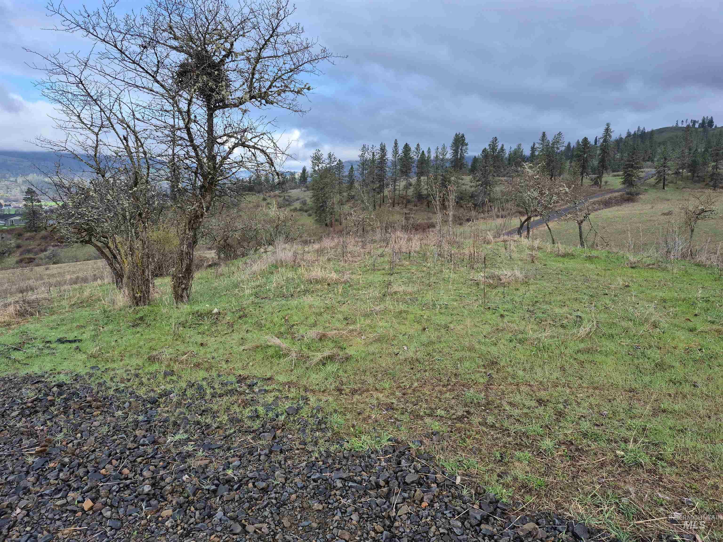 147 Elk Hill St., Kamiah, Idaho 83536, Land For Sale, Price $189,000,MLS 98993638
