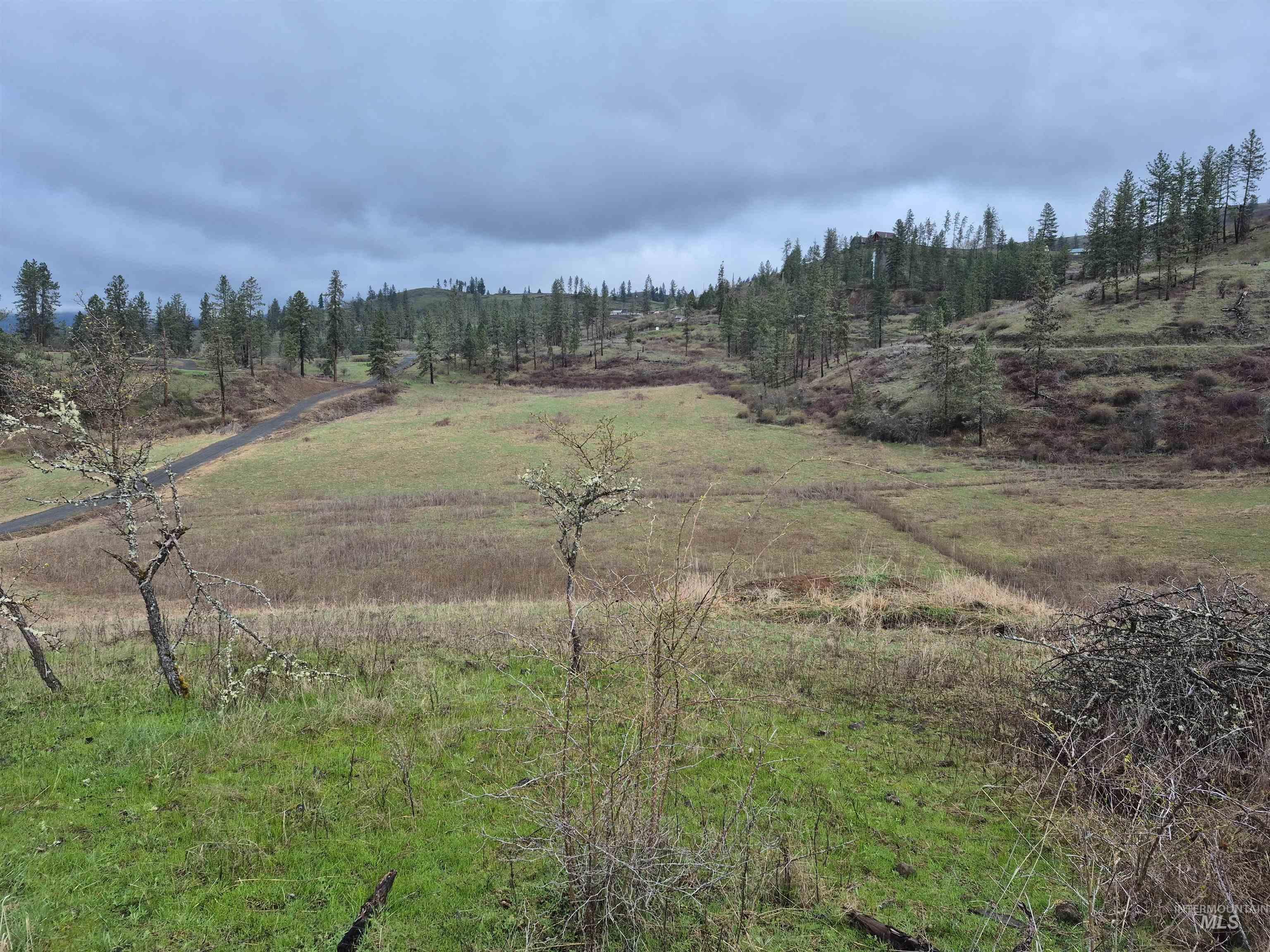 147 Elk Hill St., Kamiah, Idaho 83536, Land For Sale, Price $189,000,MLS 98993638