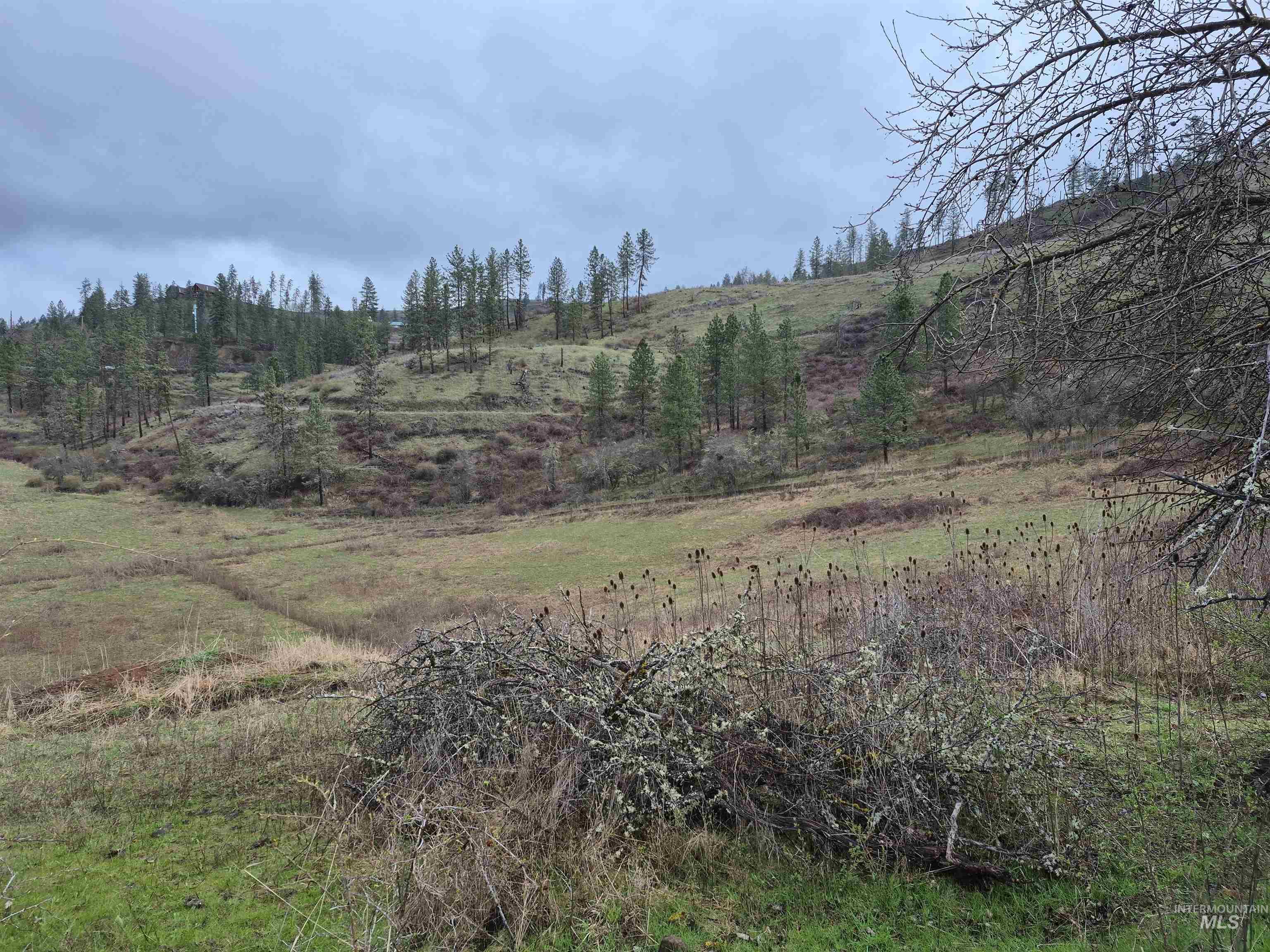 147 Elk Hill St., Kamiah, Idaho 83536, Land For Sale, Price $189,000,MLS 98993638