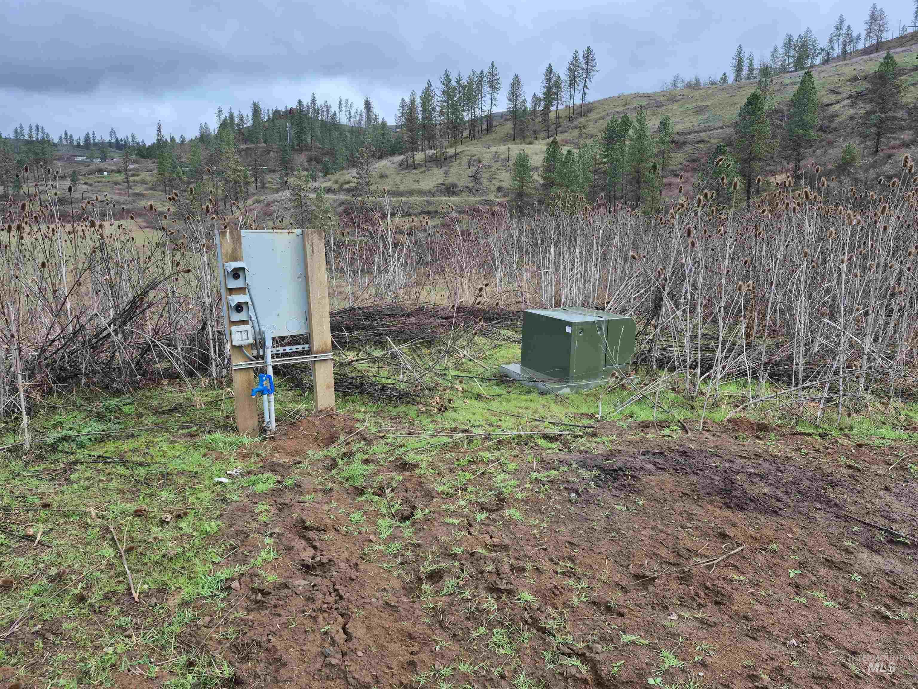 147 Elk Hill St., Kamiah, Idaho 83536, Land For Sale, Price $189,000,MLS 98993638