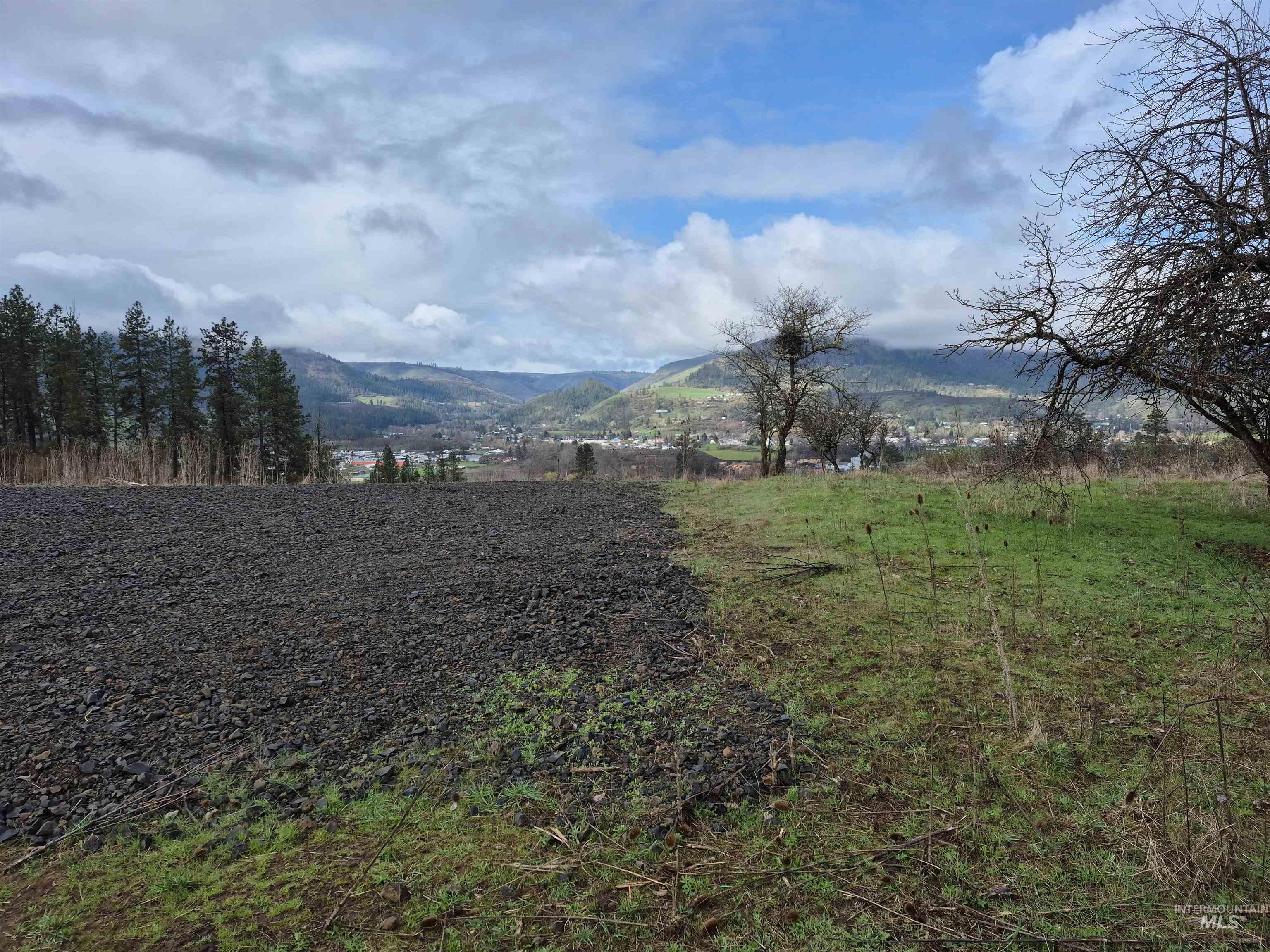 147 Elk Hill St., Kamiah, Idaho 83536, Land For Sale, Price $189,000,MLS 98993638
