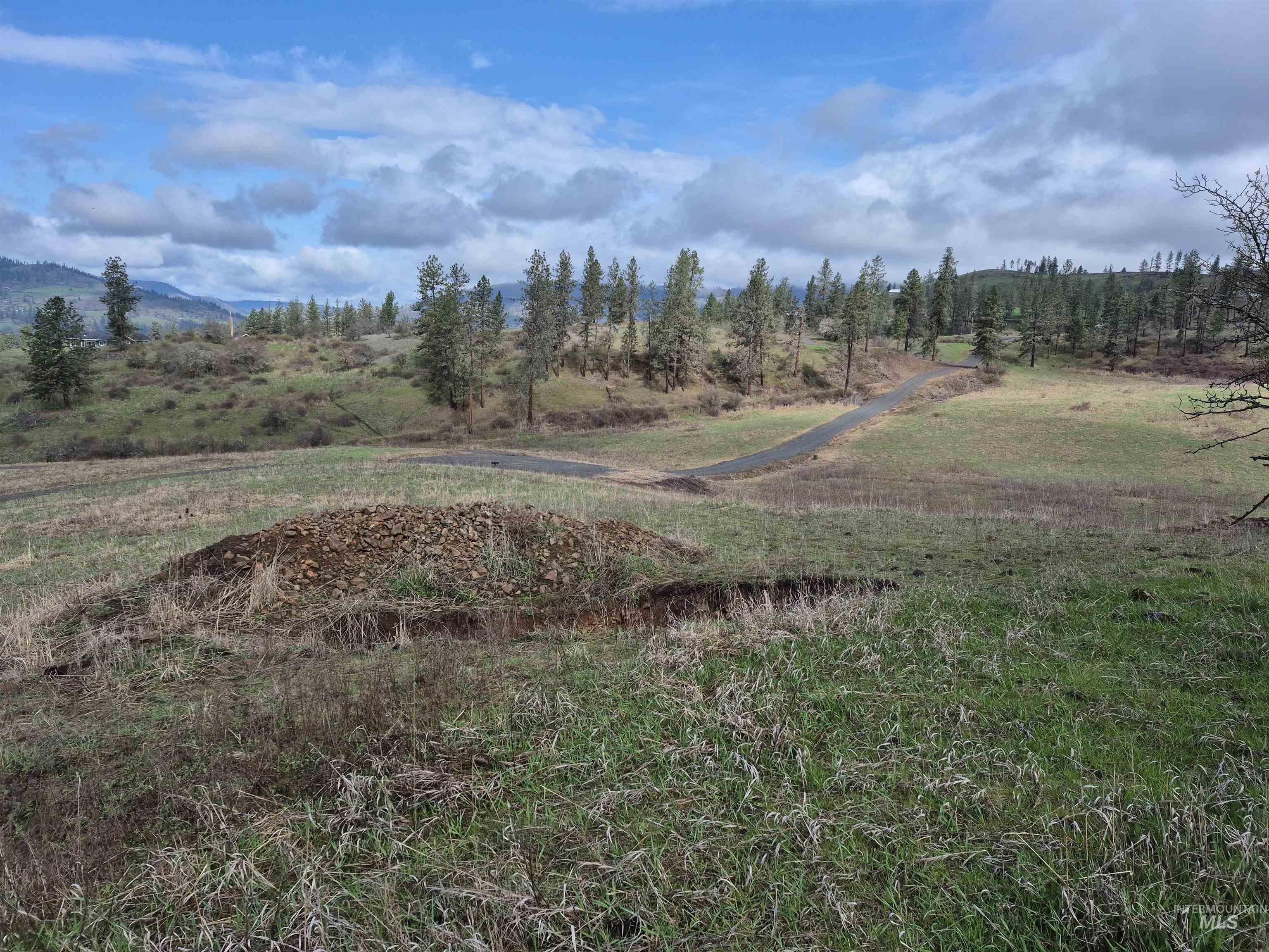 147 Elk Hill St., Kamiah, Idaho 83536, Land For Sale, Price $189,000,MLS 98993638