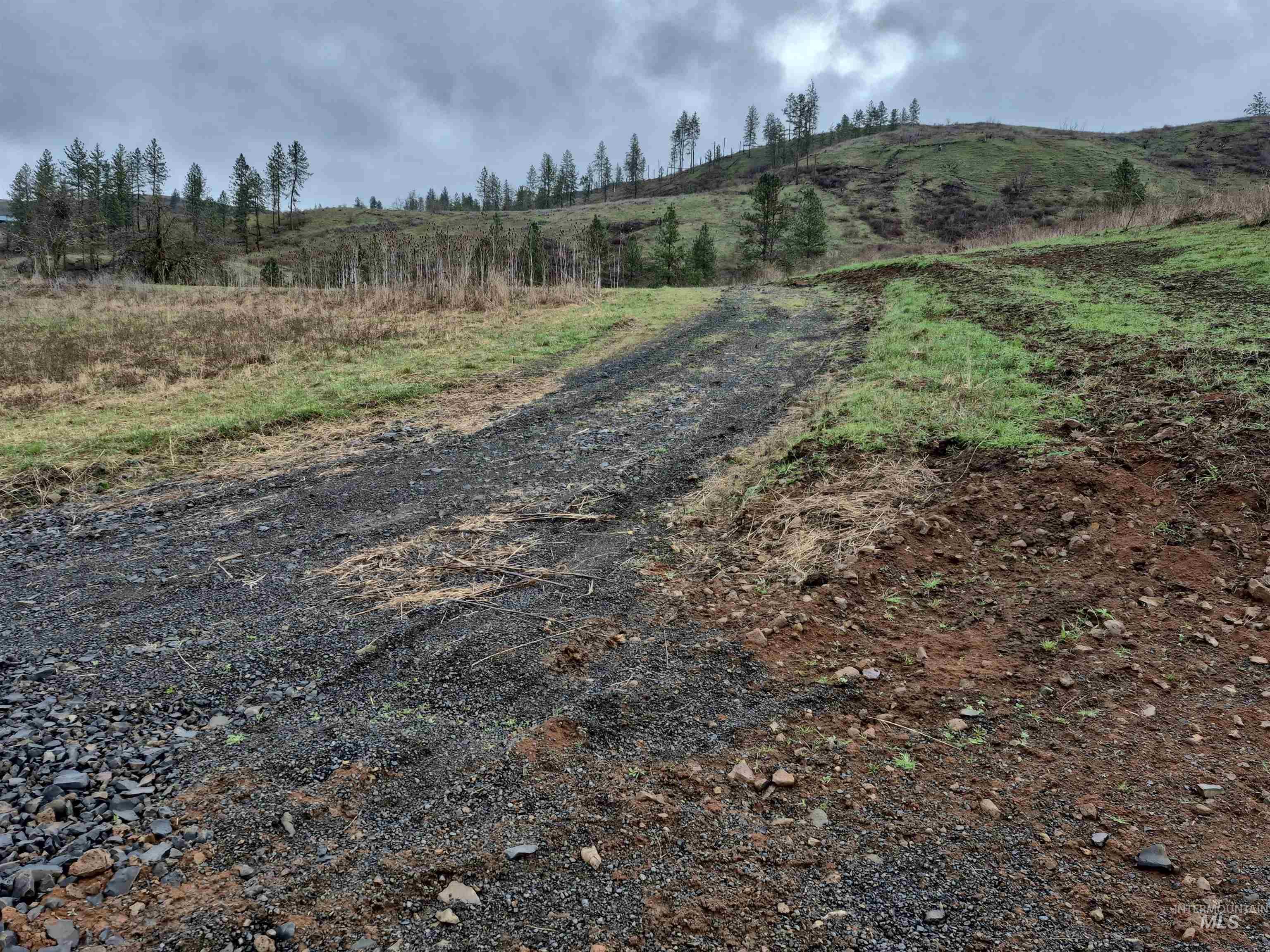 147 Elk Hill St., Kamiah, Idaho 83536, Land For Sale, Price $189,000,MLS 98993638