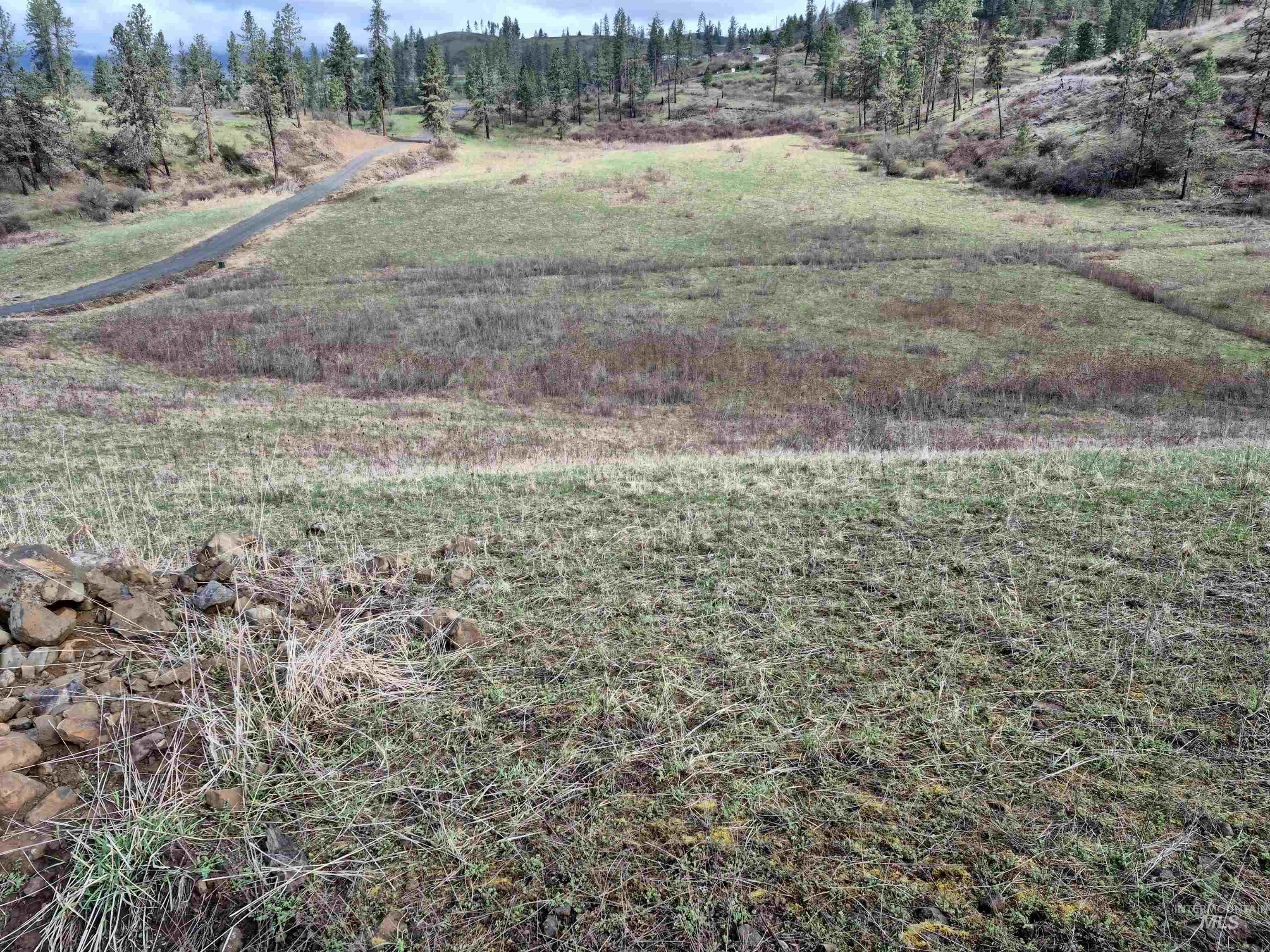 147 Elk Hill St., Kamiah, Idaho 83536, Land For Sale, Price $189,000,MLS 98993638