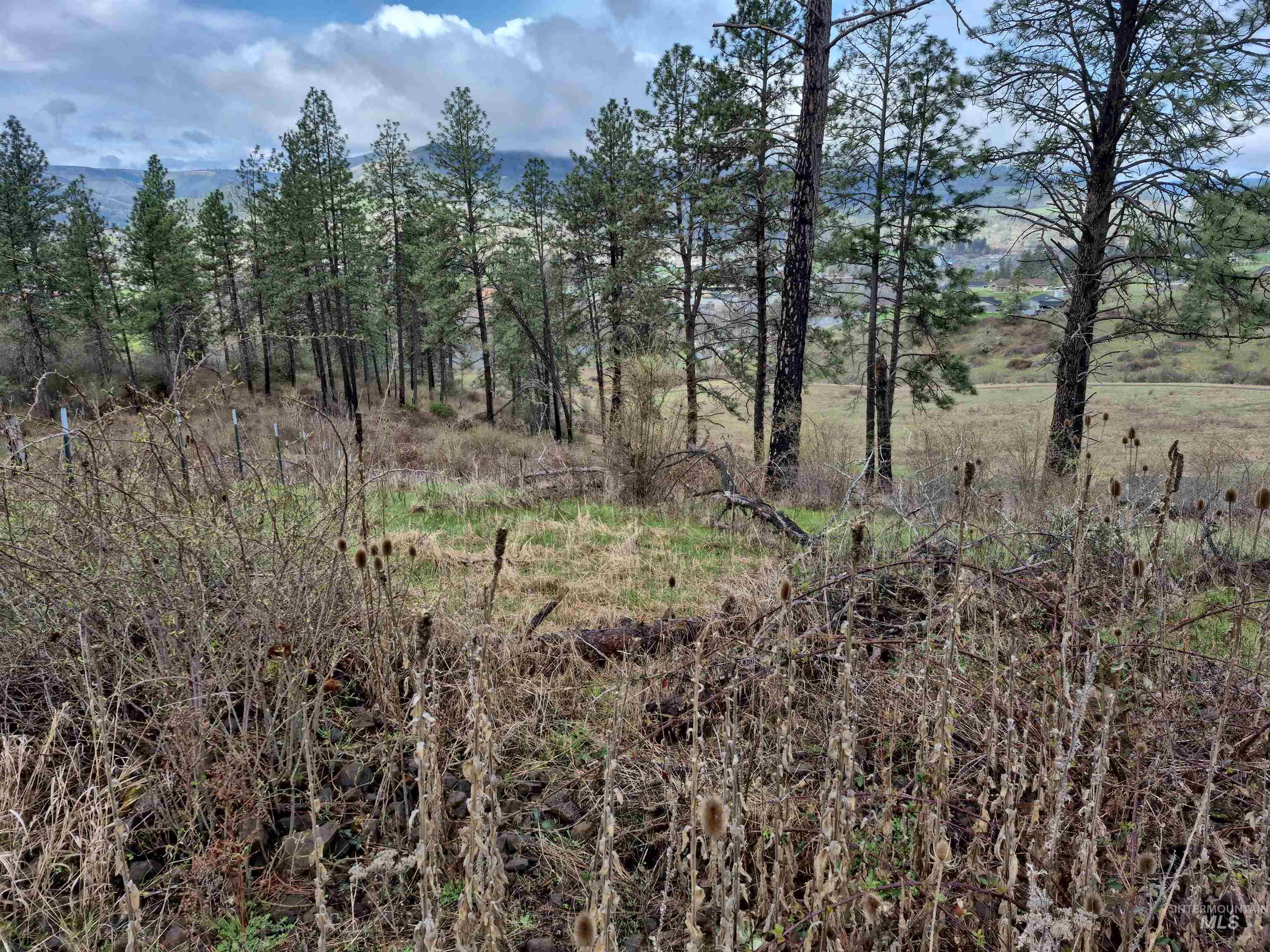 147 Elk Hill St., Kamiah, Idaho 83536, Land For Sale, Price $189,000,MLS 98993638