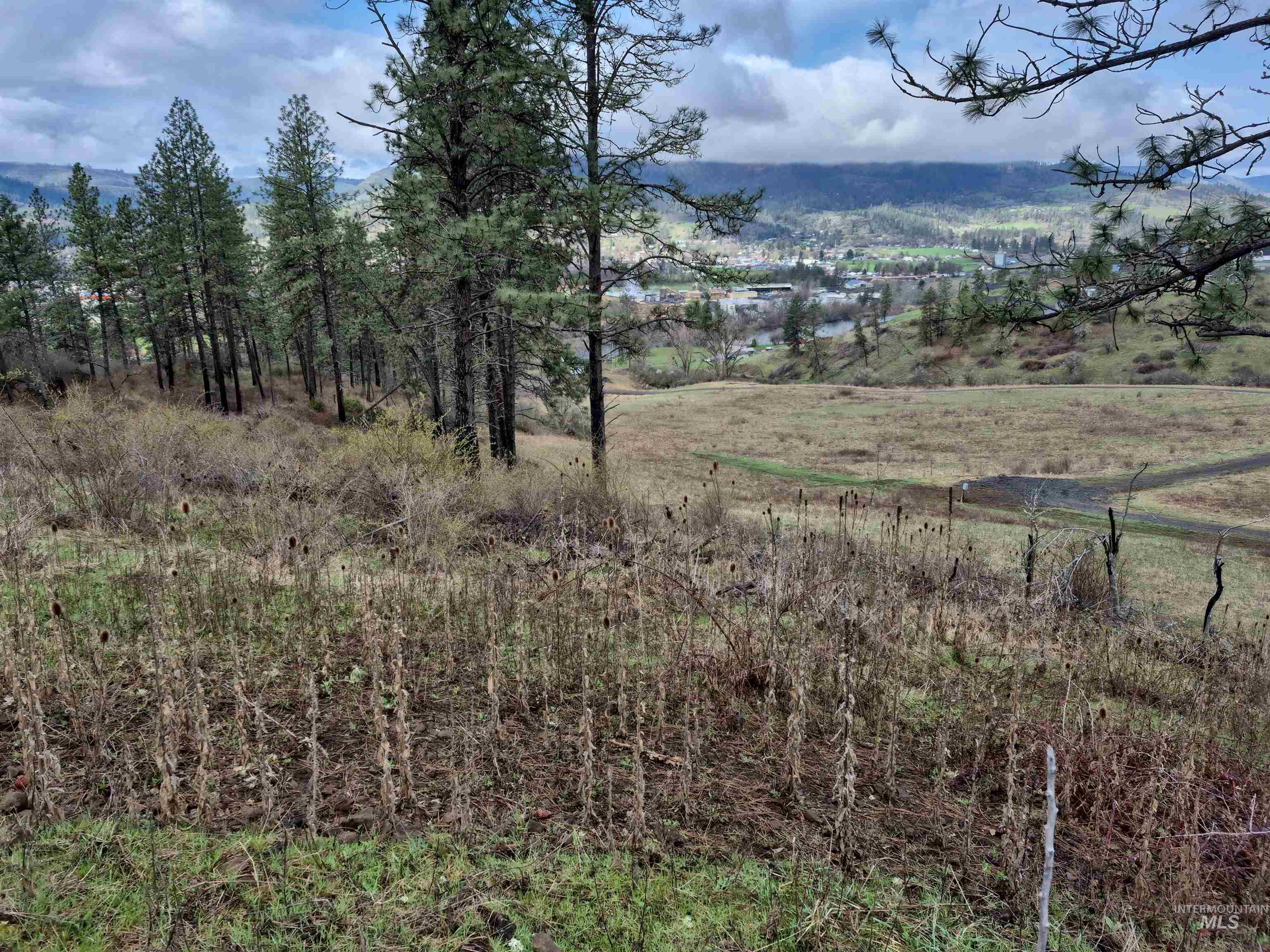 147 Elk Hill St., Kamiah, Idaho 83536, Land For Sale, Price $189,000,MLS 98993638