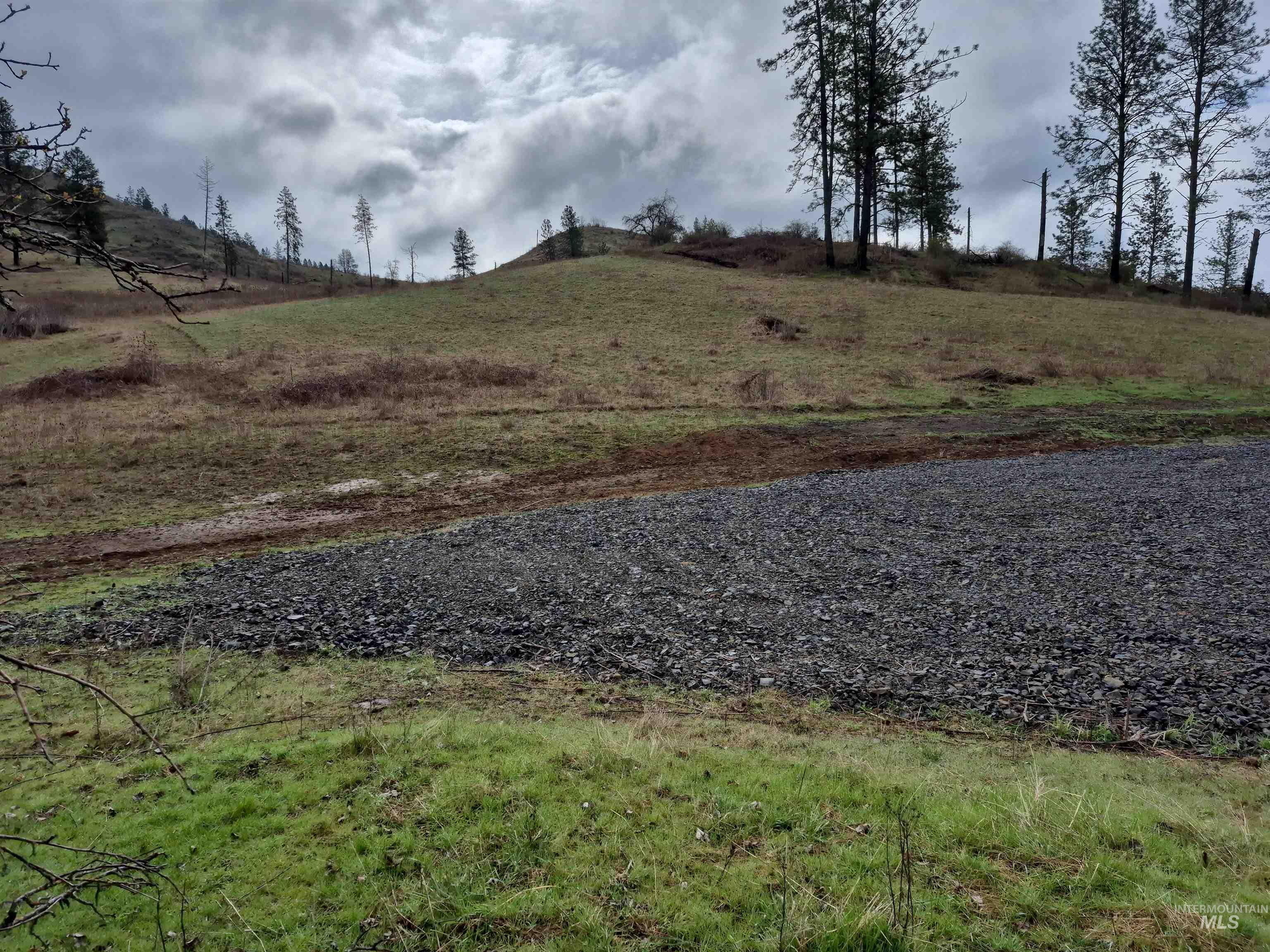 147 Elk Hill St., Kamiah, Idaho 83536, Land For Sale, Price $189,000,MLS 98993638