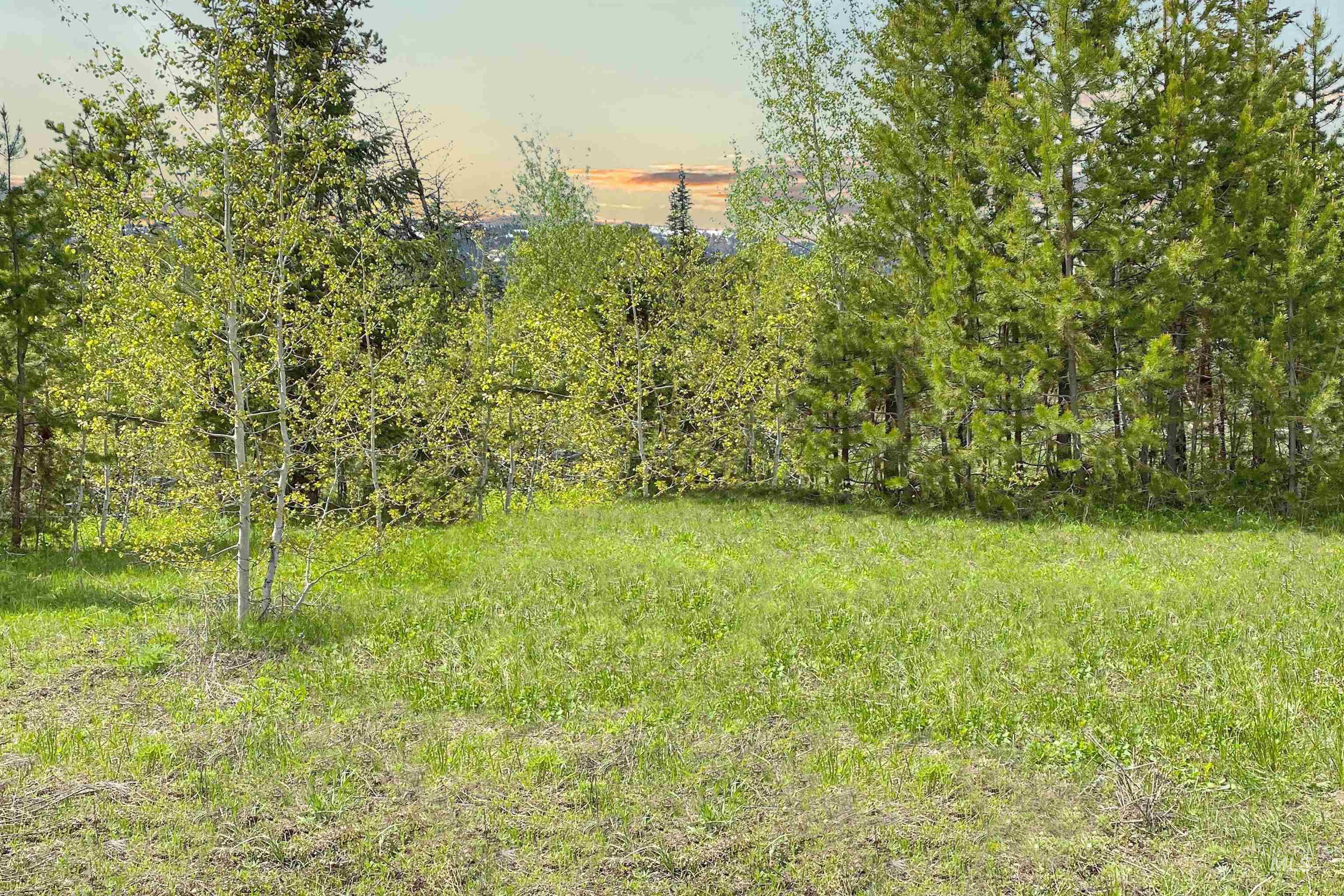 257 Bald Eagle Lane, Donnelly, Idaho 83615, Land For Sale, Price $265,000,MLS 98993673