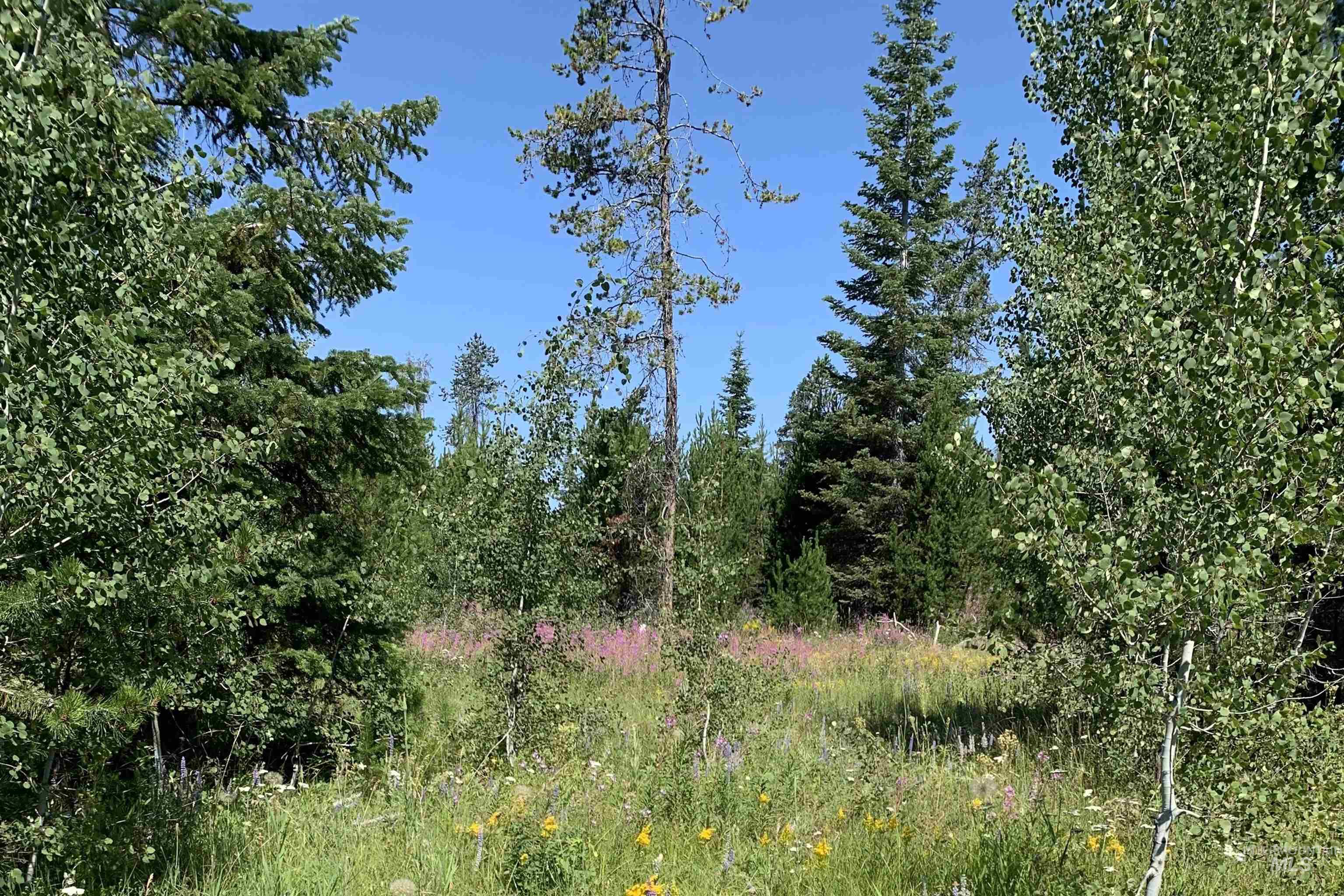 257 Bald Eagle Lane, Donnelly, Idaho 83615, Land For Sale, Price $265,000,MLS 98993673