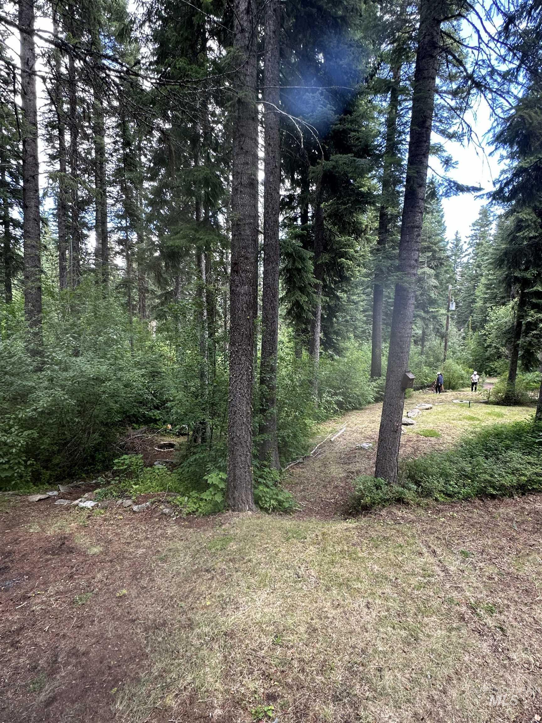 1227 Brown Bear Drive, Cascade, Idaho 83611, 1 Bedroom, 1 Bathroom, Residential For Sale, Price $325,000,MLS 98993680
