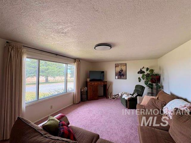 3197 Eagle Rock Road, American Falls, Idaho 83211, 5 Bedrooms, 3 Bathrooms, Residential For Sale, Price $499,000,MLS 98993686