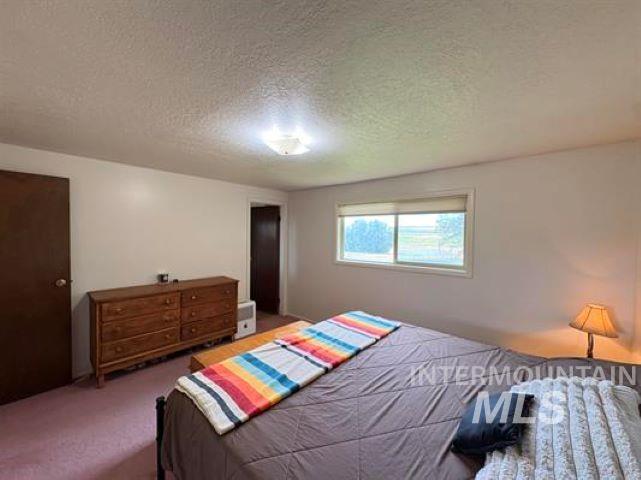 3197 Eagle Rock Road, American Falls, Idaho 83211, 5 Bedrooms, 3 Bathrooms, Residential For Sale, Price $499,000,MLS 98993686