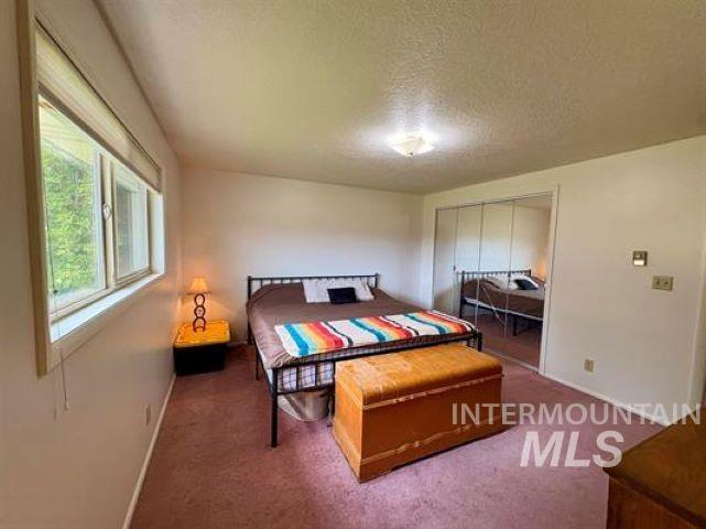 3197 Eagle Rock Road, American Falls, Idaho 83211, 5 Bedrooms, 3 Bathrooms, Residential For Sale, Price $499,000,MLS 98993686