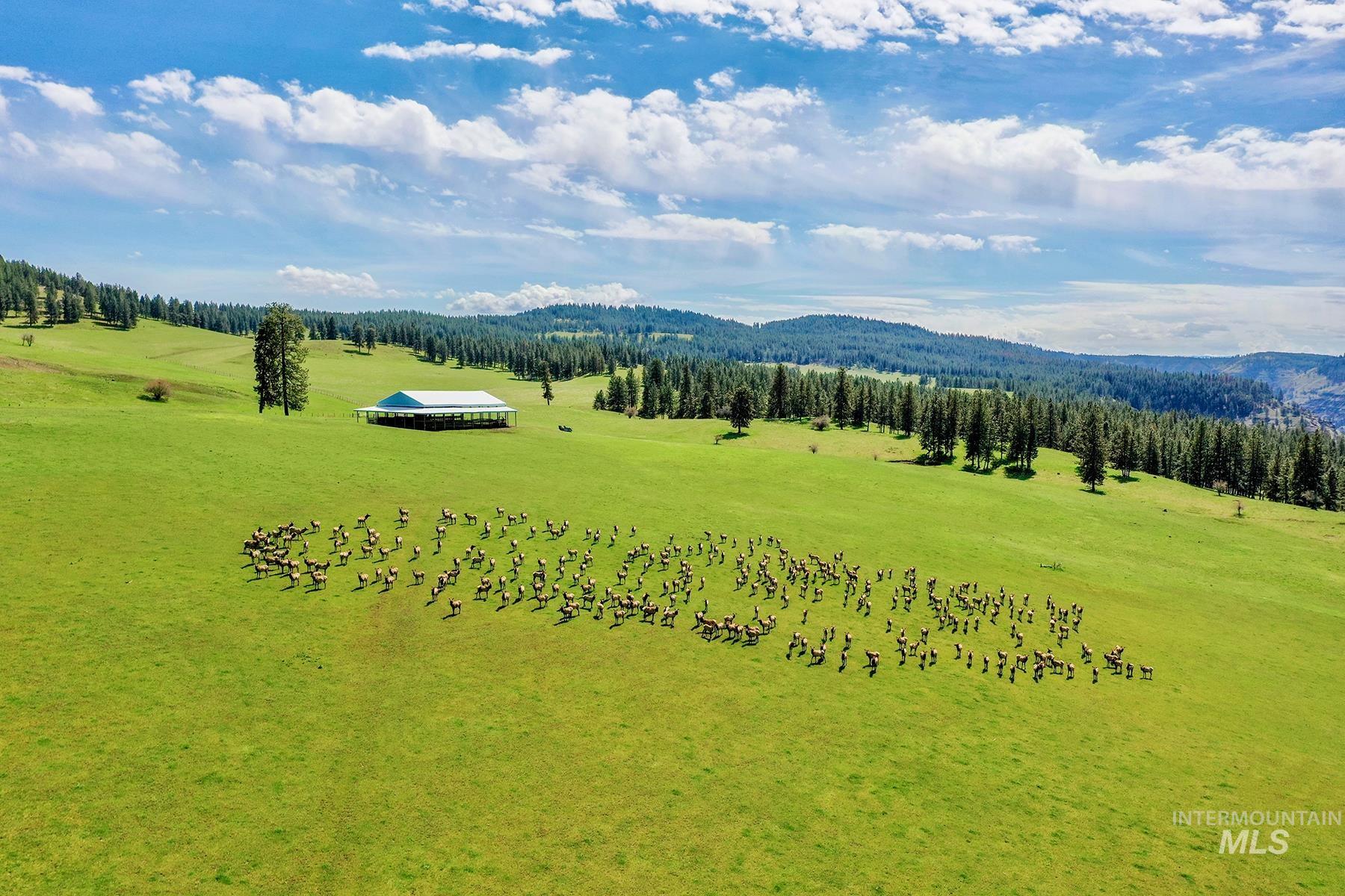 83584 Troy Road, Wallowa, Oregon 97885, 19 Bedrooms, 8 Bathrooms, Farm & Ranch For Sale, Price $19,800,000, 98993696