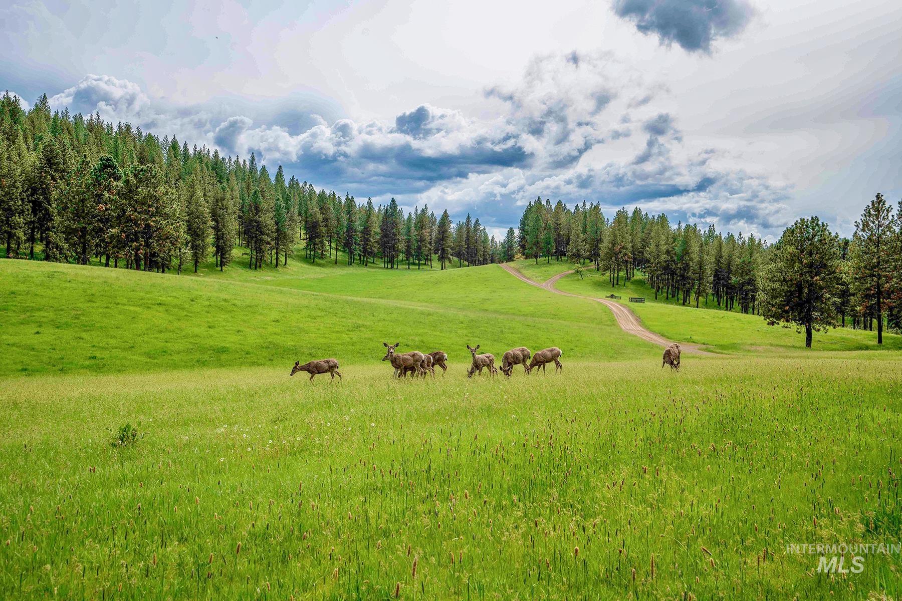 83584 Troy Road, Wallowa, Oregon 97885, 19 Bedrooms, 8 Bathrooms, Farm & Ranch For Sale, Price $19,800,000, 98993696