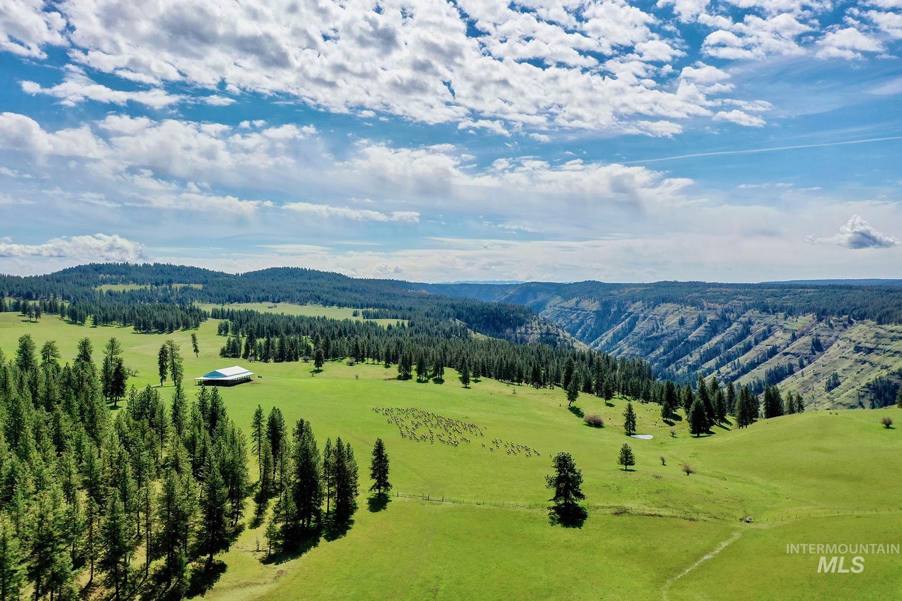 83584 Troy Road, Wallowa, Oregon 97885, 19 Bedrooms, 8 Bathrooms, Farm & Ranch For Sale, Price $19,800,000, 98993696