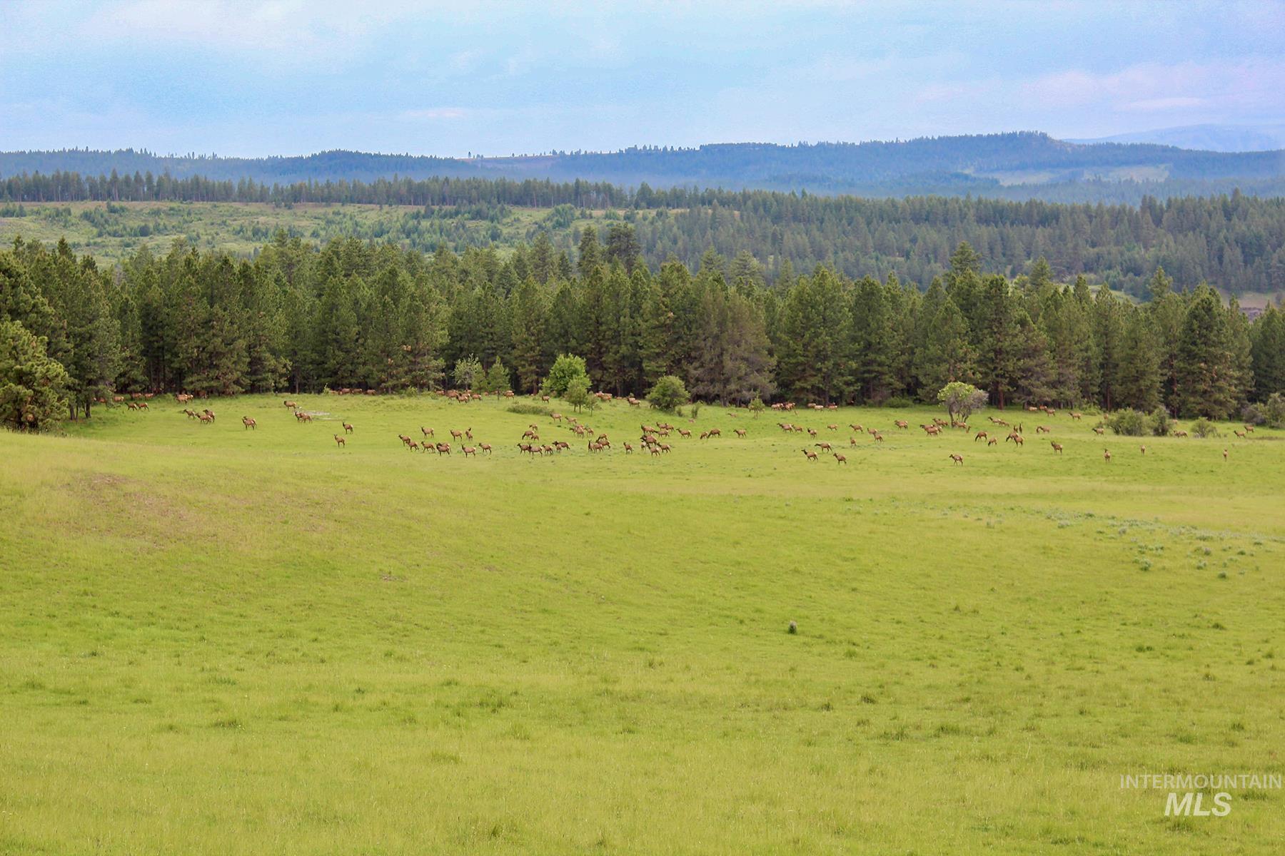 83584 Troy Road, Wallowa, Oregon 97885, 19 Bedrooms, 8 Bathrooms, Farm & Ranch For Sale, Price $19,800,000, 98993696