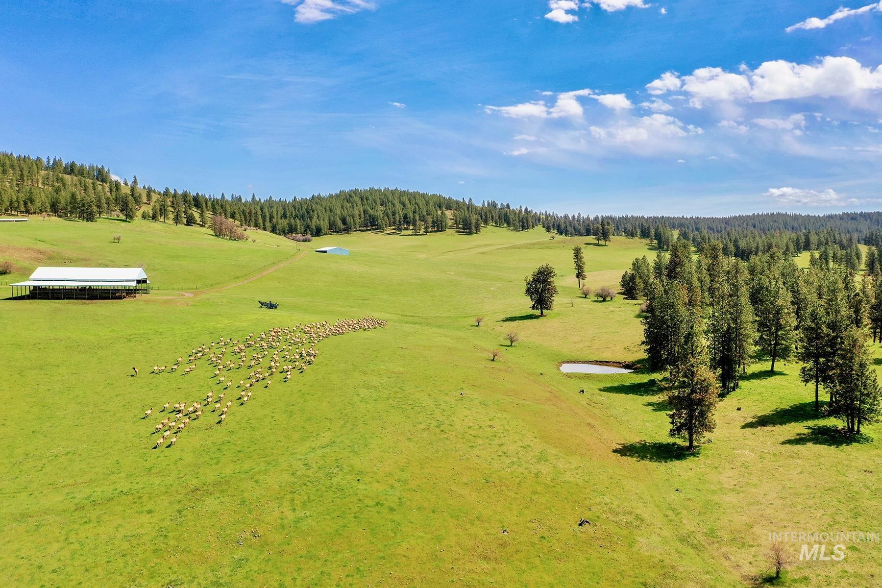83584 Troy Road, Wallowa, Oregon 97885, 19 Bedrooms, 8 Bathrooms, Farm & Ranch For Sale, Price $19,800,000, 98993696