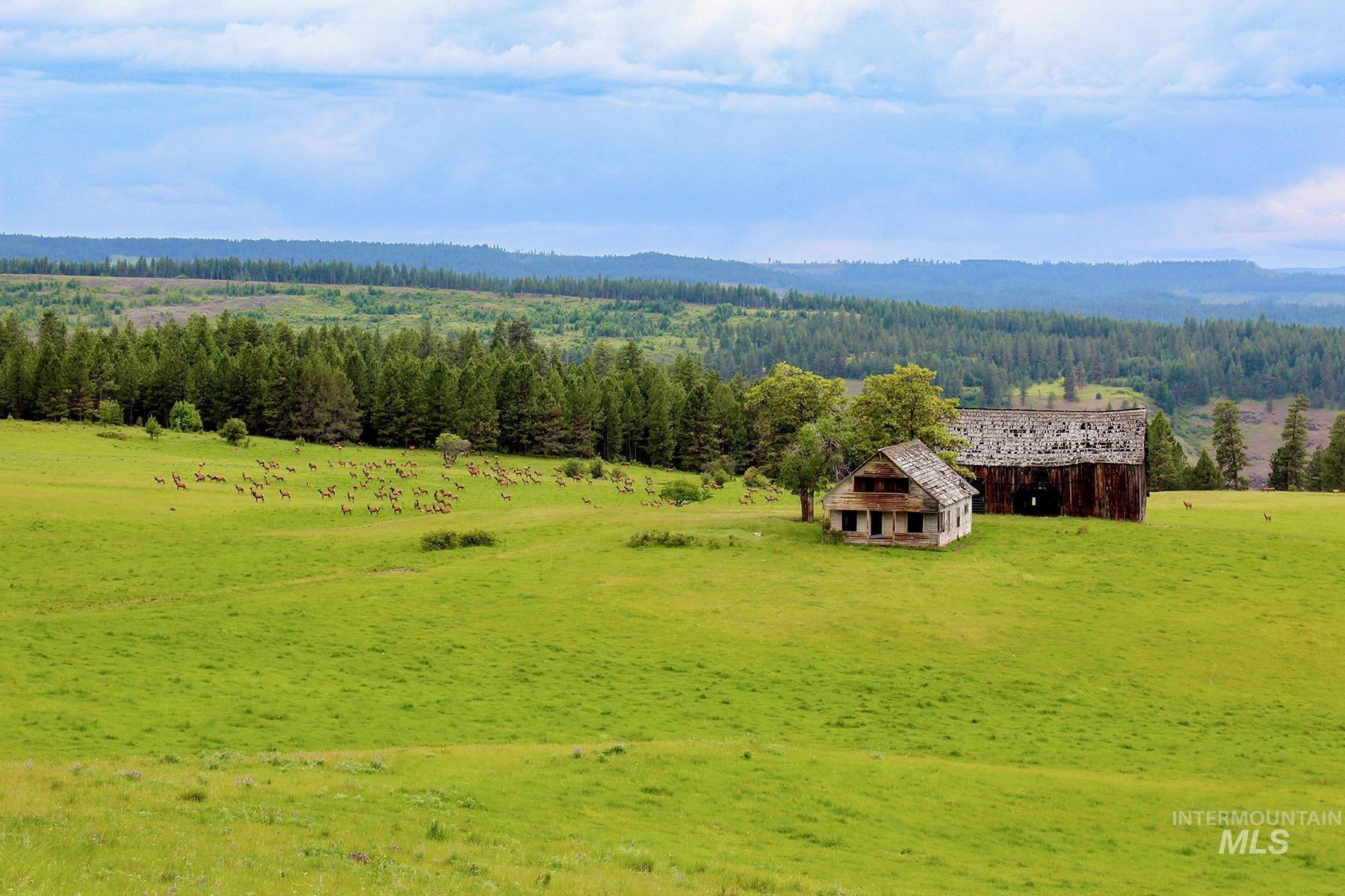 83584 Troy Road, Wallowa, Oregon 97885, 19 Bedrooms, 8 Bathrooms, Farm & Ranch For Sale, Price $19,800,000, 98993696