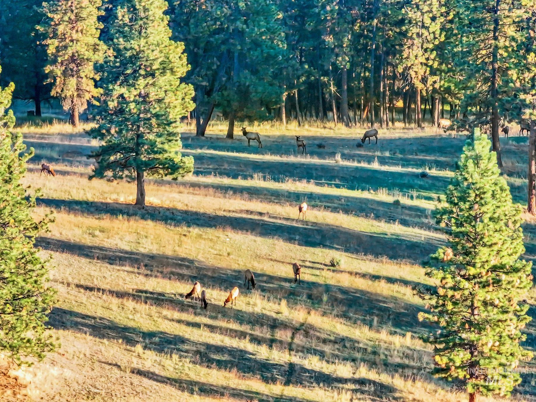 83584 Troy Road, Wallowa, Oregon 97885, 19 Bedrooms, 8 Bathrooms, Farm & Ranch For Sale, Price $19,800,000, 98993696