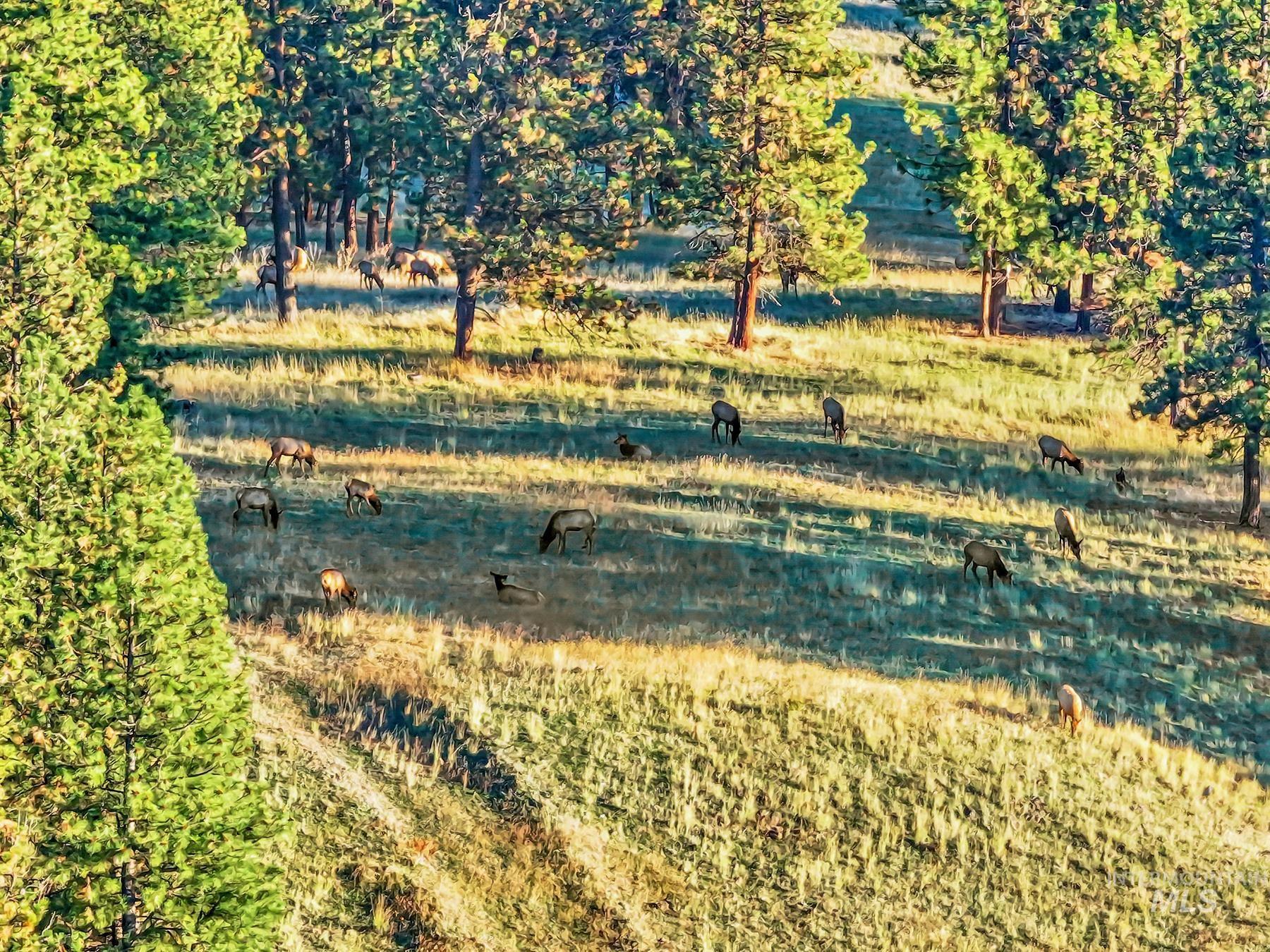 83584 Troy Road, Wallowa, Oregon 97885, 19 Bedrooms, 8 Bathrooms, Farm & Ranch For Sale, Price $19,800,000, 98993696