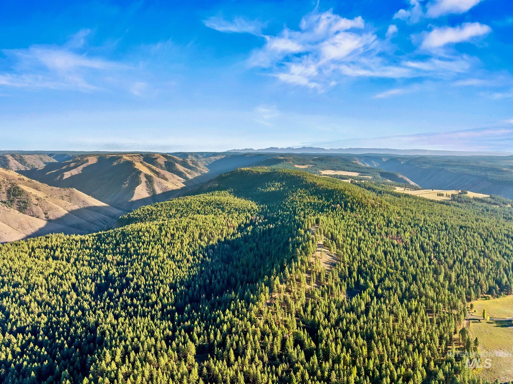 83584 Troy Road, Wallowa, Oregon 97885, 19 Bedrooms, 8 Bathrooms, Farm & Ranch For Sale, Price $19,800,000, 98993696