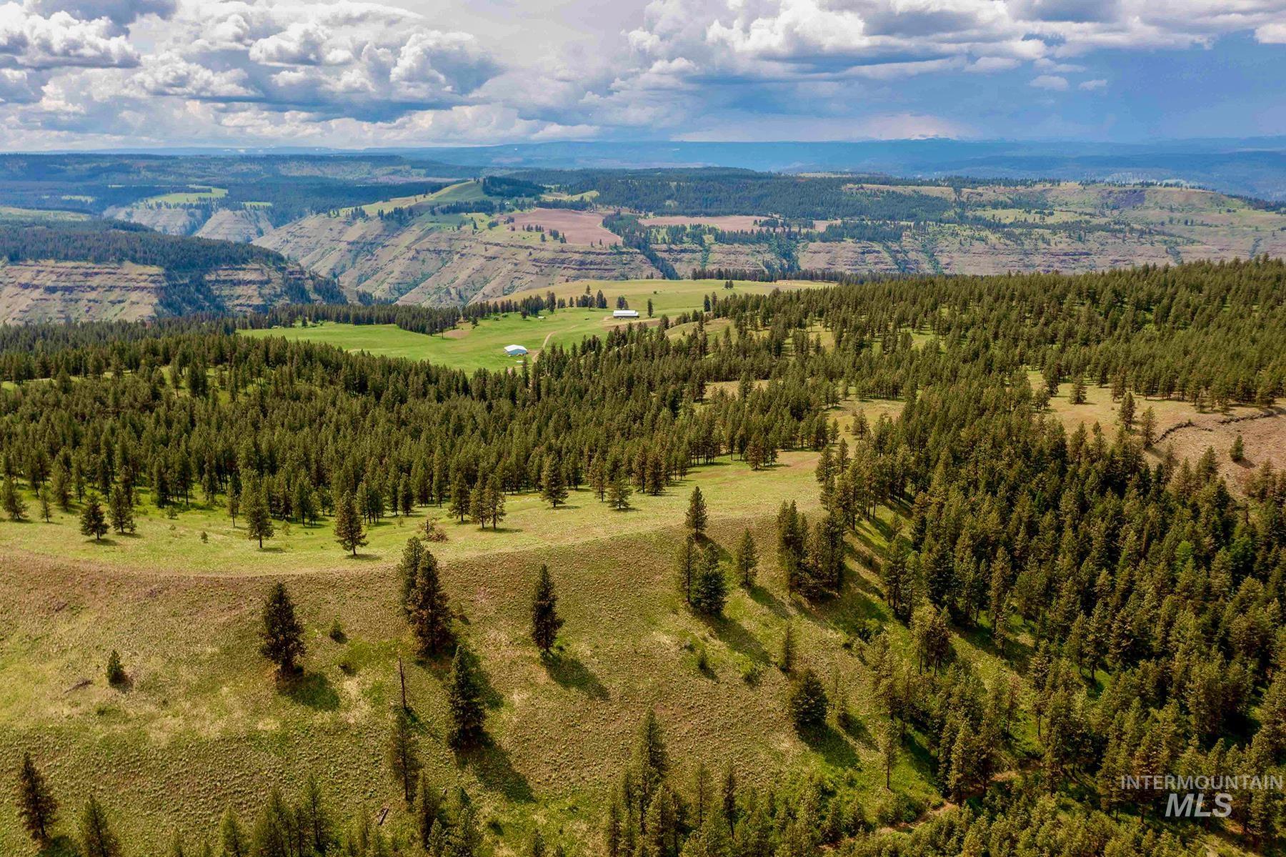 83584 Troy Road, Wallowa, Oregon 97885, 19 Bedrooms, 8 Bathrooms, Farm & Ranch For Sale, Price $19,800,000, 98993696