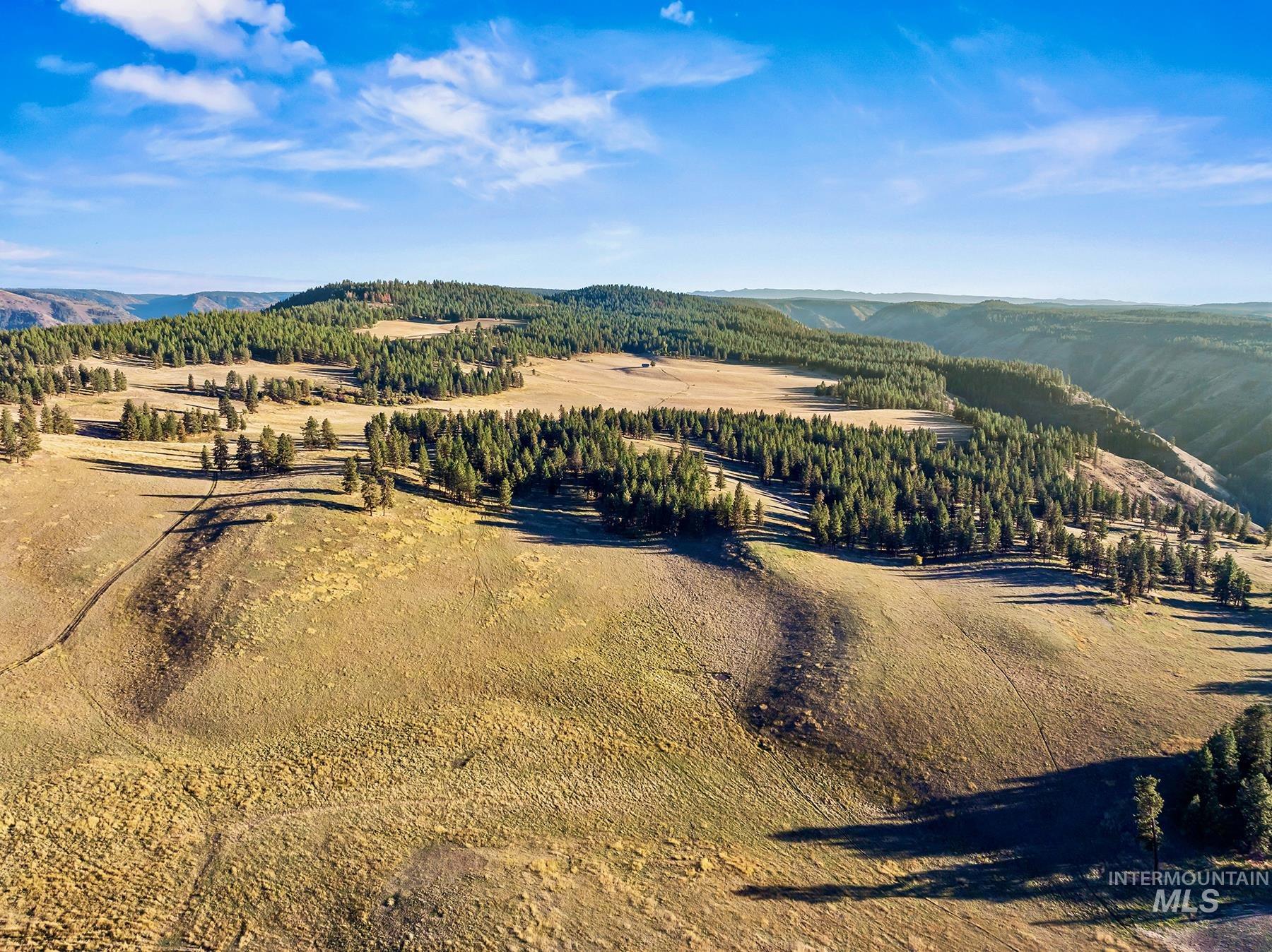 83584 Troy Road, Wallowa, Oregon 97885, 19 Bedrooms, 8 Bathrooms, Farm & Ranch For Sale, Price $19,800,000, 98993696