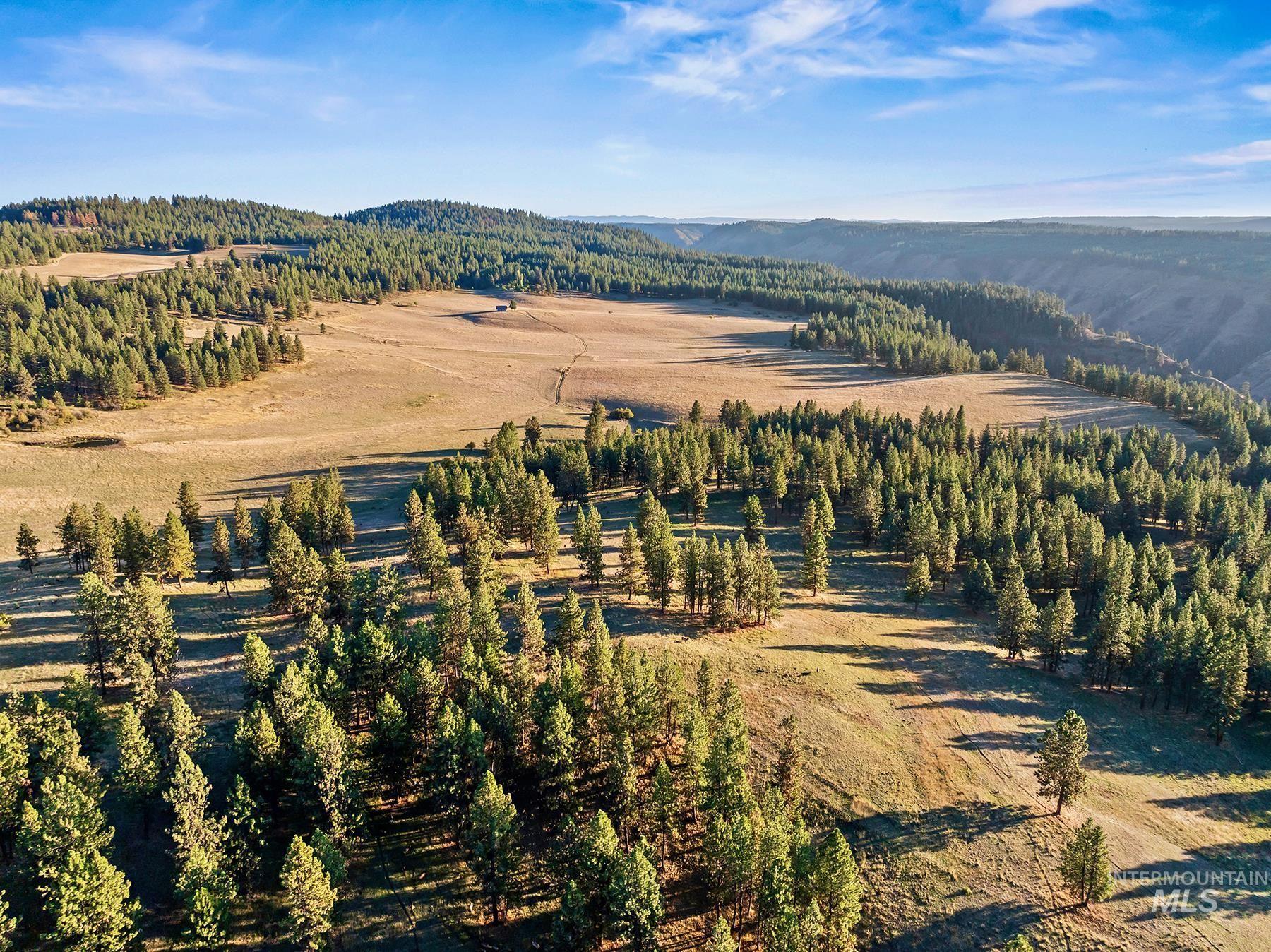 83584 Troy Road, Wallowa, Oregon 97885, 19 Bedrooms, 8 Bathrooms, Farm & Ranch For Sale, Price $19,800,000, 98993696