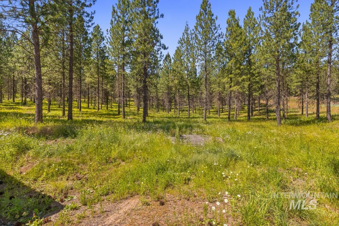 1076 Swenson Ln, Deary, Idaho 83823, 4 Bedrooms, 3 Bathrooms, Residential For Sale, Price $975,000, 98993706