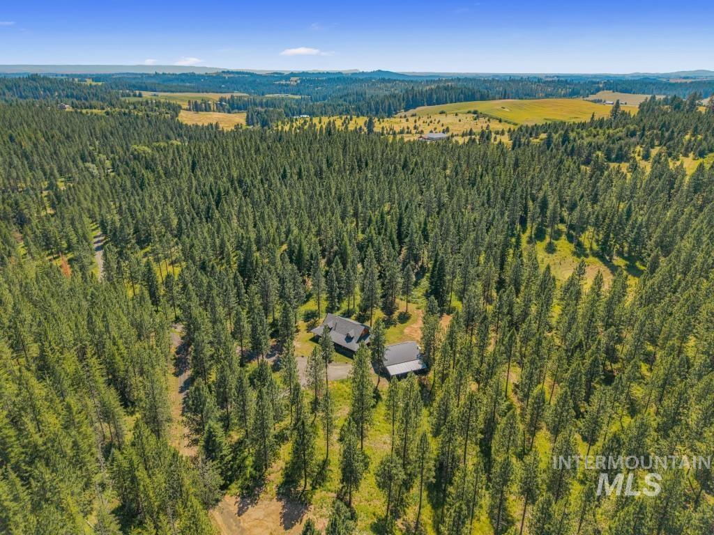 1076 Swenson Ln, Deary, Idaho 83823, 4 Bedrooms, 3 Bathrooms, Residential For Sale, Price $975,000, 98993706