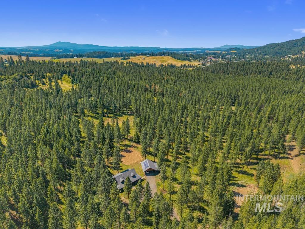 1076 Swenson Ln, Deary, Idaho 83823, 4 Bedrooms, 3 Bathrooms, Residential For Sale, Price $975,000, 98993706