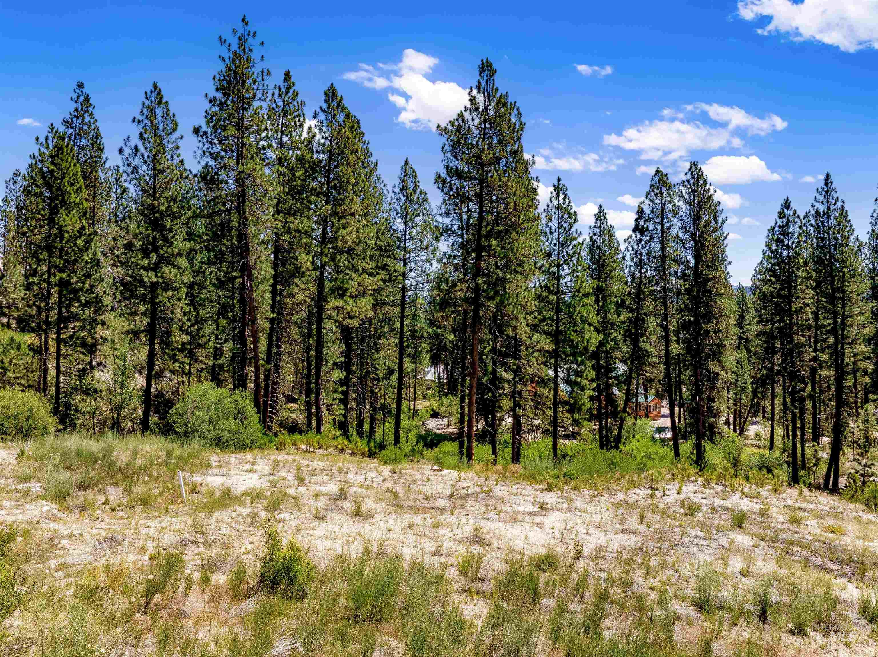 Lot 22 Bavarian Village, Idaho City, Idaho 83631, Land For Sale, Price $199,000, 98993708