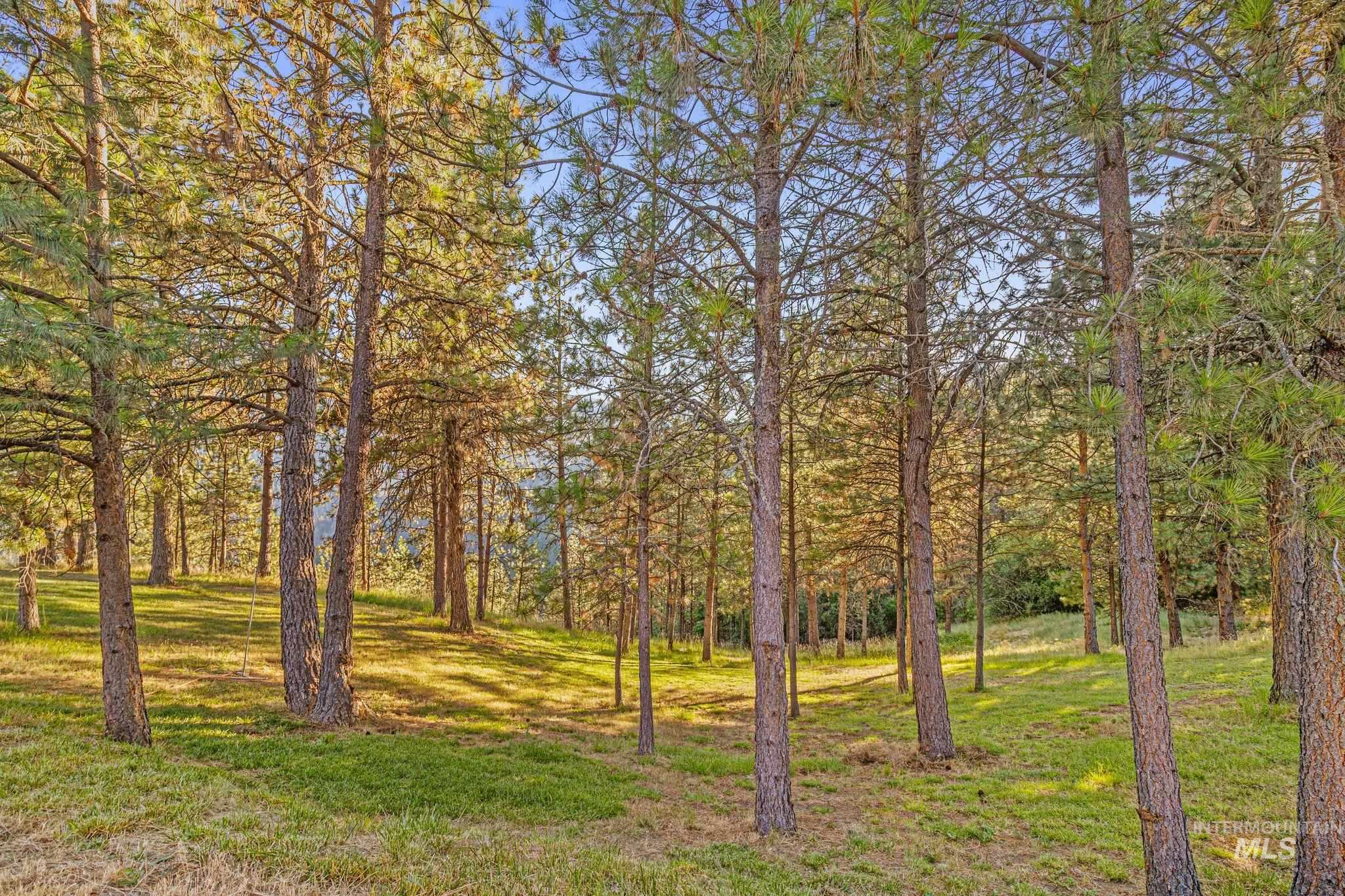 435 River Pointe, Lenore, Idaho 83541, 3 Bedrooms, 2 Bathrooms, Residential For Sale, Price $899,000,MLS 98993855