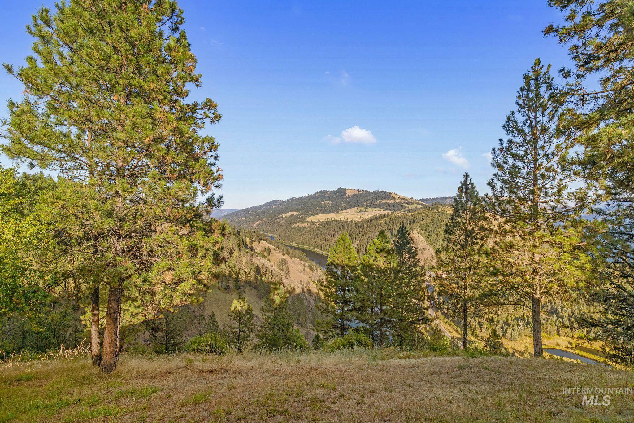 435 River Pointe, Lenore, Idaho 83541, 3 Bedrooms, 2 Bathrooms, Residential For Sale, Price $899,000,MLS 98993855