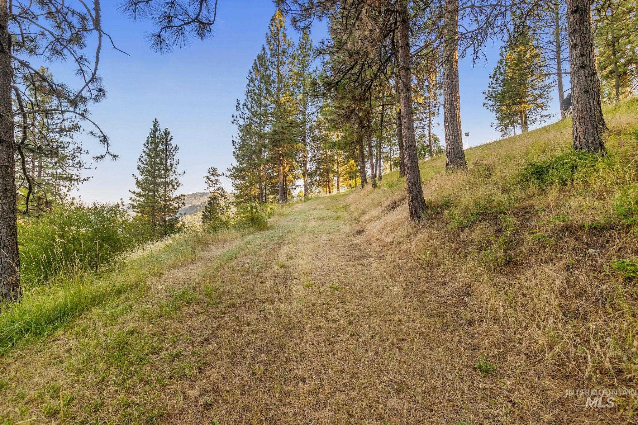 435 River Pointe, Lenore, Idaho 83541, 3 Bedrooms, 2 Bathrooms, Residential For Sale, Price $899,000,MLS 98993855