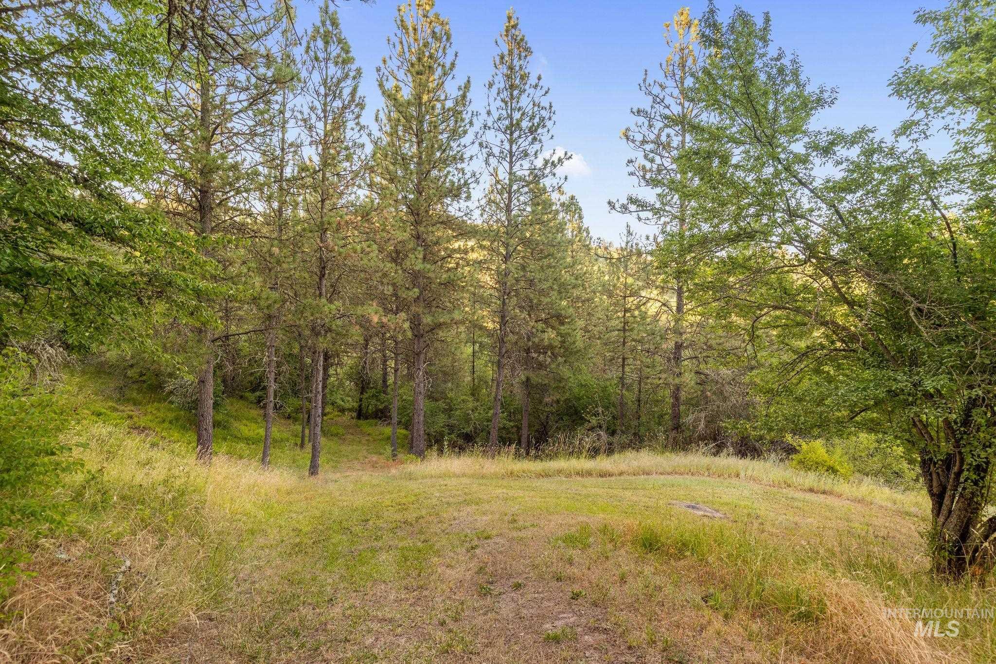 435 River Pointe, Lenore, Idaho 83541, 3 Bedrooms, 2 Bathrooms, Residential For Sale, Price $899,000,MLS 98993855