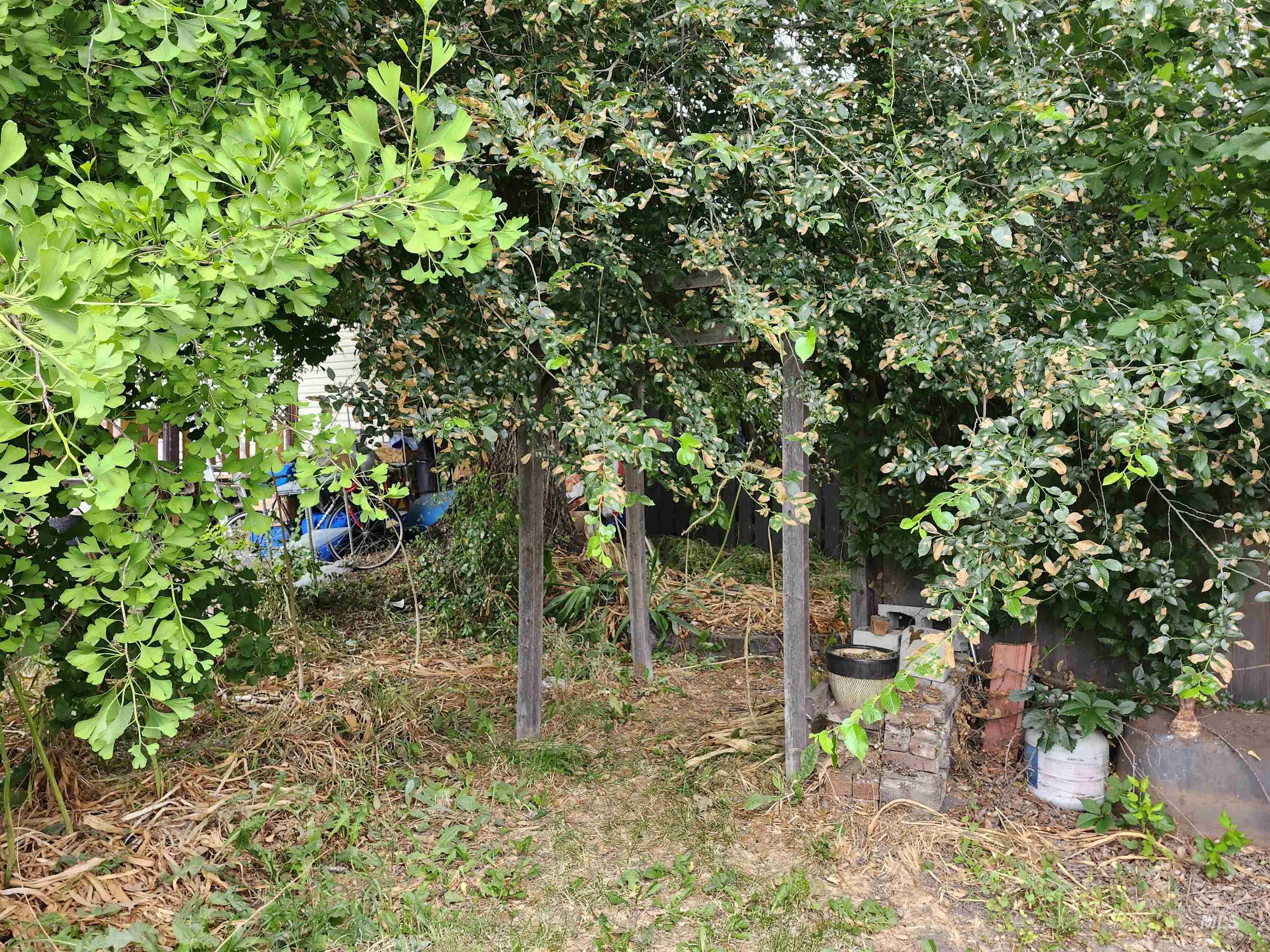603 W A Street, Moscow, Idaho 83843, 3 Bedrooms, 1 Bathroom, Residential For Sale, Price $389,000,MLS 98993907