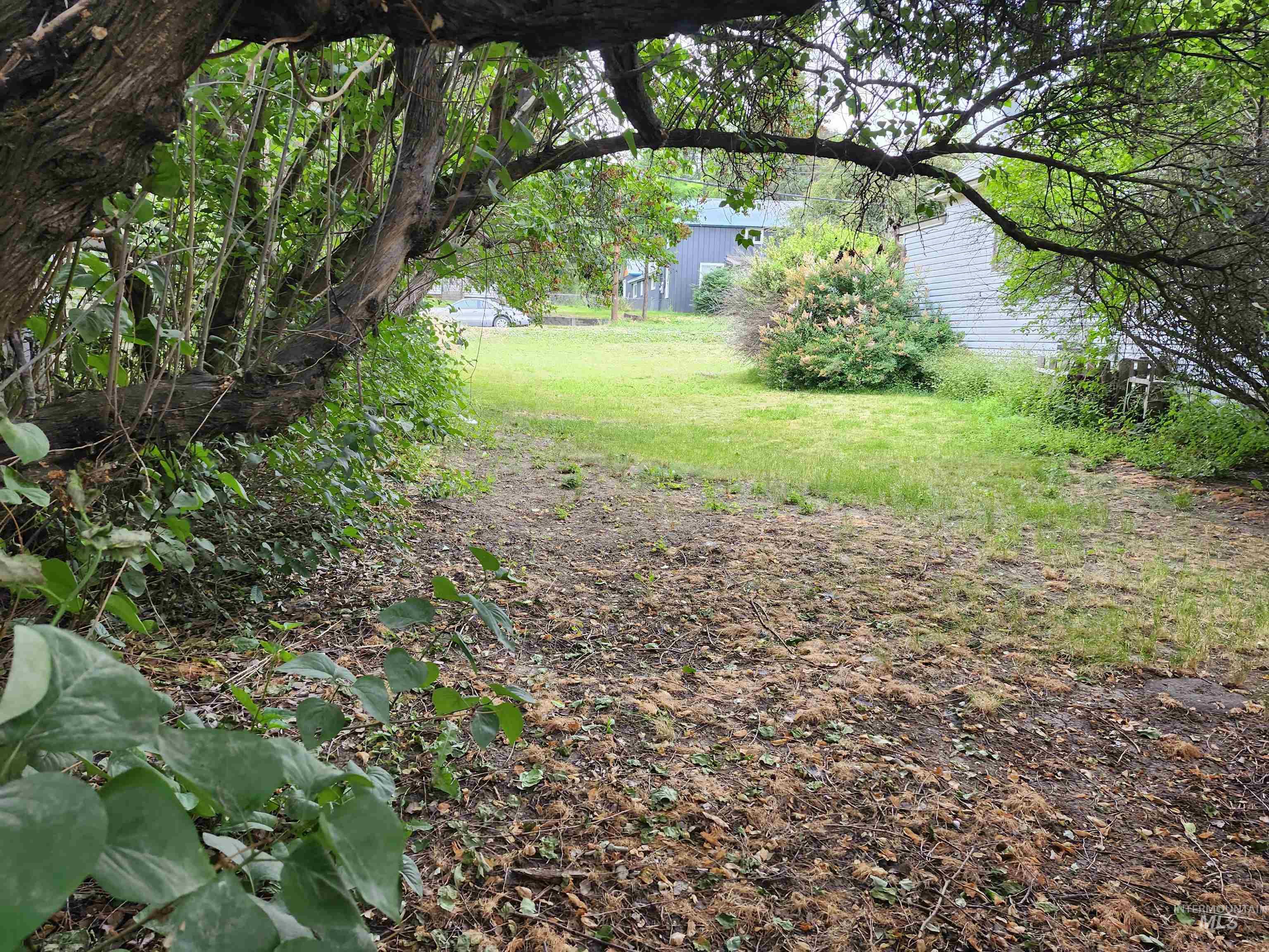 603 W A Street, Moscow, Idaho 83843, 3 Bedrooms, 1 Bathroom, Residential For Sale, Price $389,000,MLS 98993907