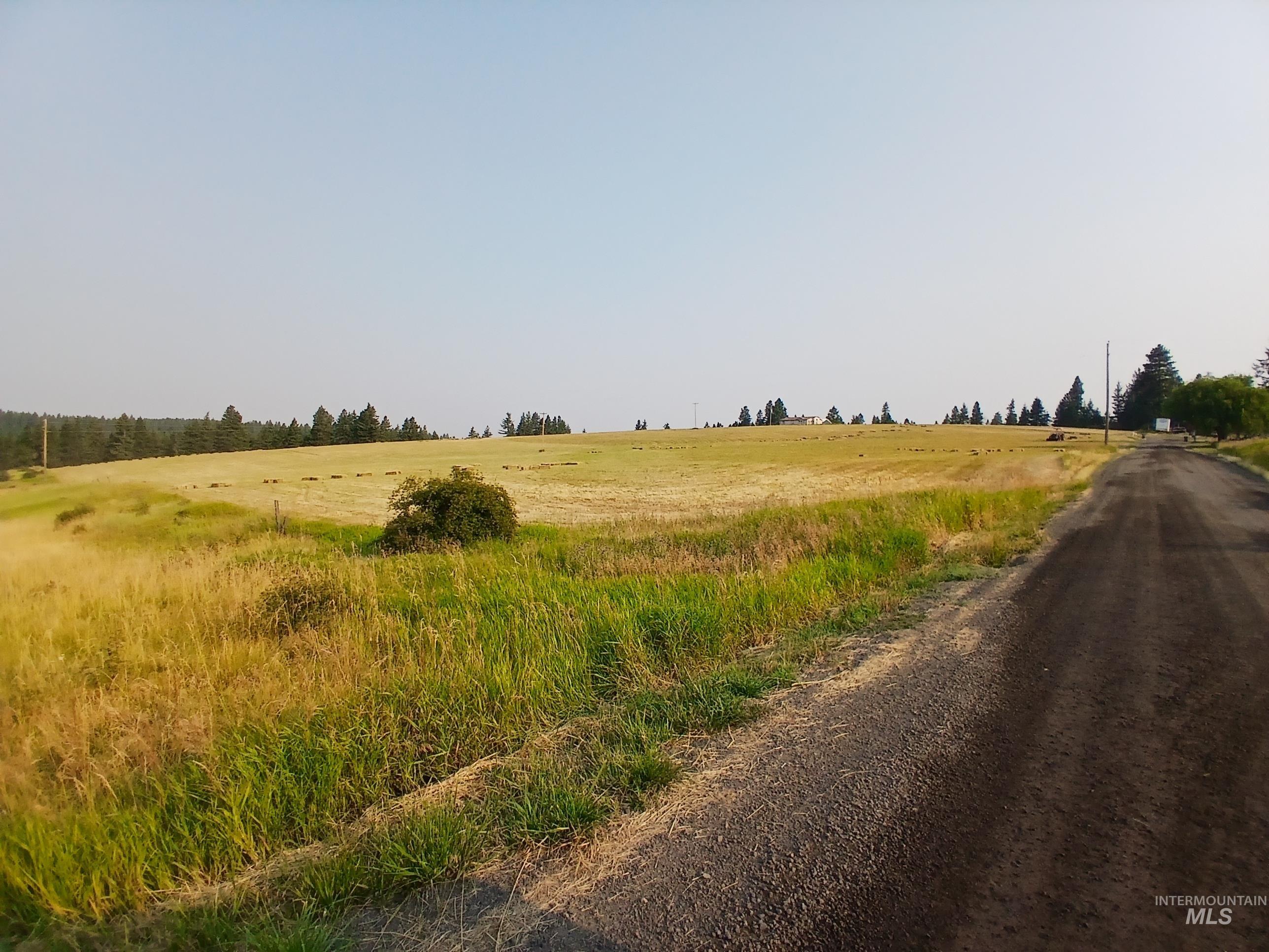 1076 Headrick Rd, Potlatch, Idaho 83855, 2 Bedrooms, 2 Bathrooms, Residential For Sale, Price $950,000,MLS 98993926