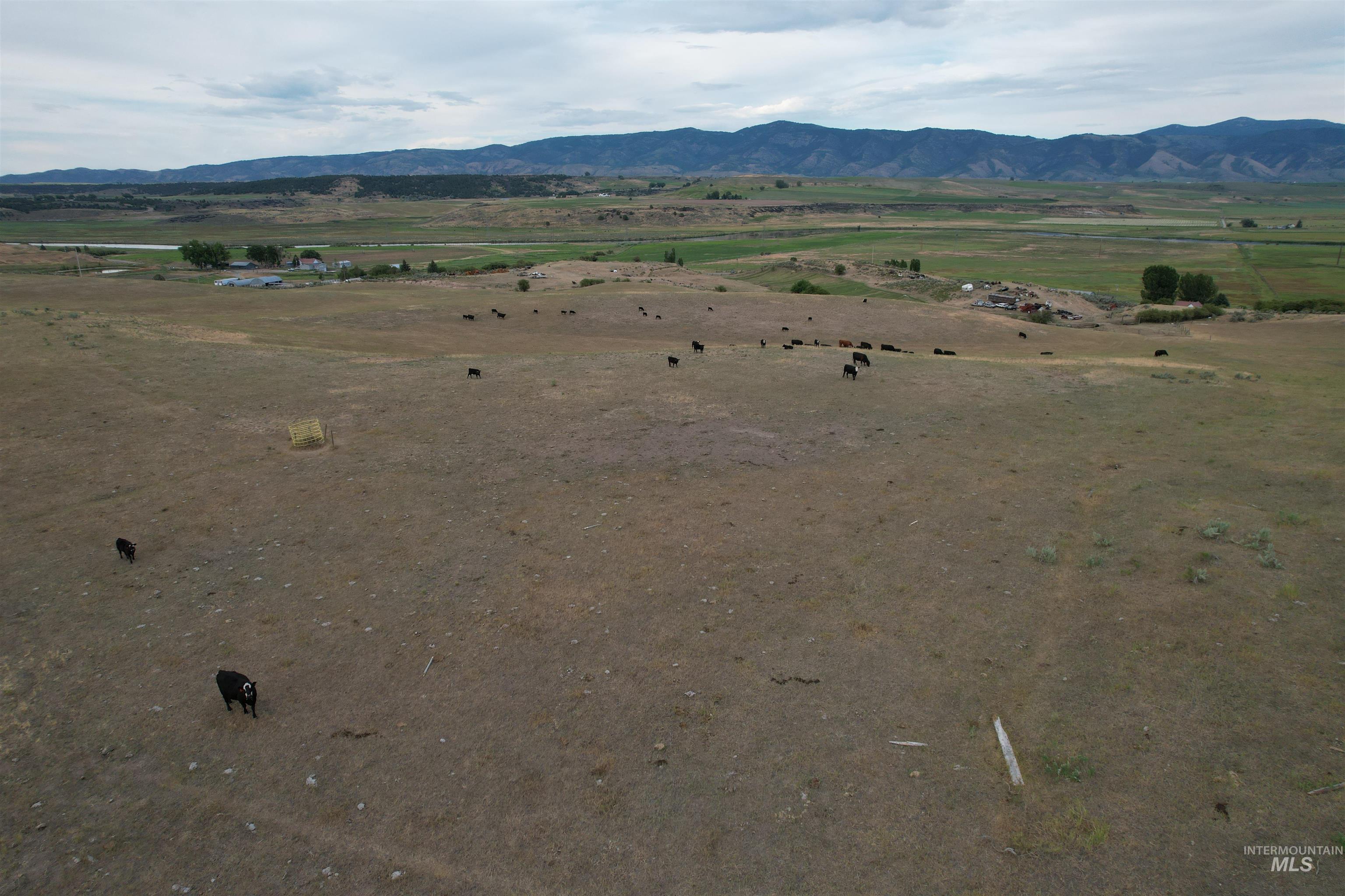 392 River Rd, Grace, Idaho 83241, Farm & Ranch For Sale, Price $1,350,000,MLS 98993990