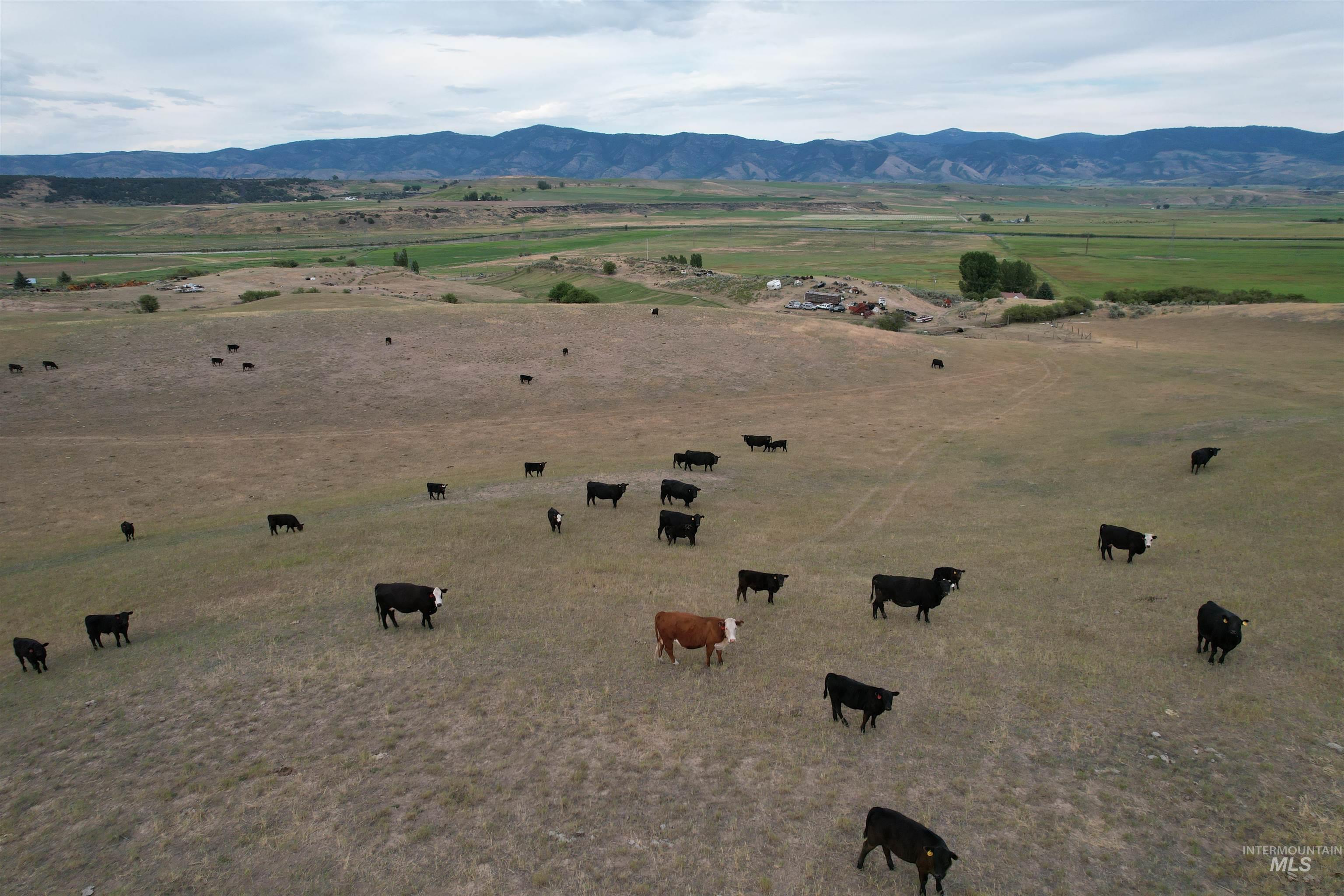 392 River Rd, Grace, Idaho 83241, Farm & Ranch For Sale, Price $1,350,000,MLS 98993990