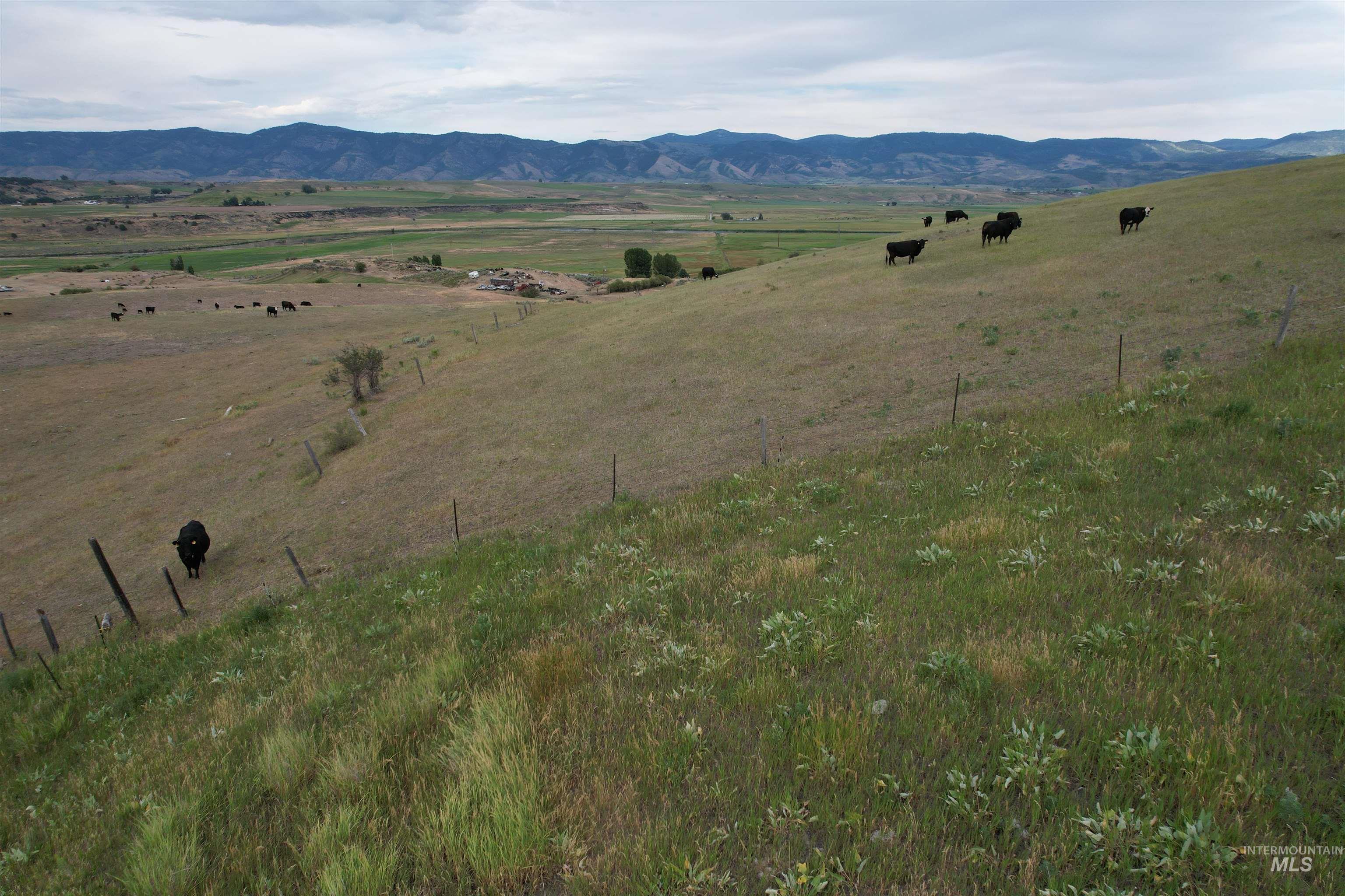 392 River Rd, Grace, Idaho 83241, Farm & Ranch For Sale, Price $1,350,000,MLS 98993990