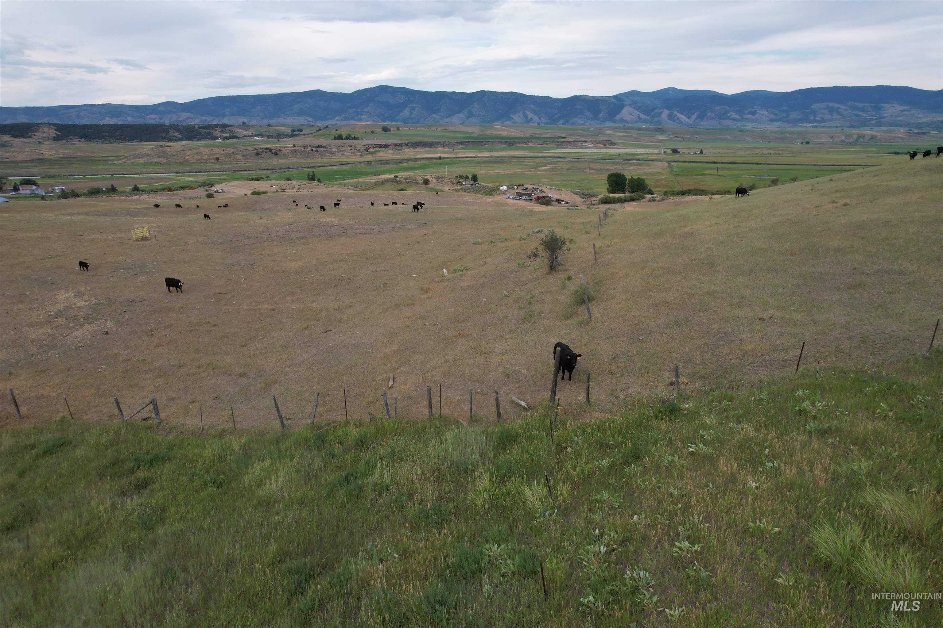 392 River Rd, Grace, Idaho 83241, Farm & Ranch For Sale, Price $1,350,000,MLS 98993990