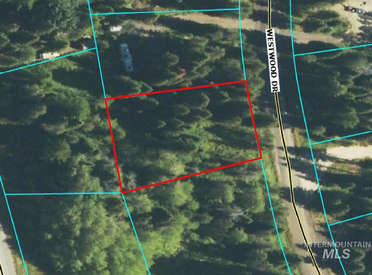 2525 Westwood Dr, Donnelly, Idaho 83615, Land For Sale, Price $225,000,MLS 98994014