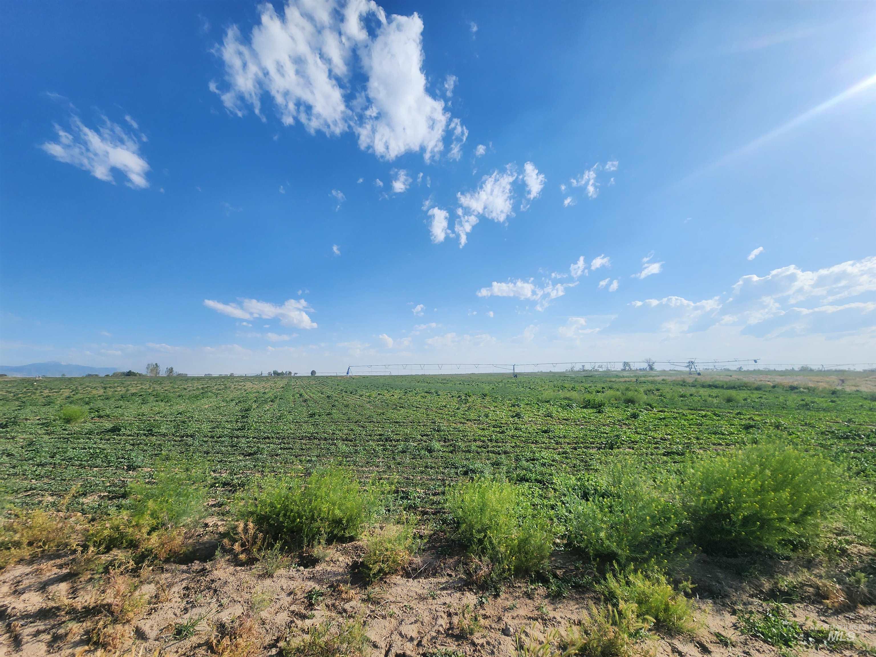 431 W 20 S, Burley, Idaho 83318, Farm & Ranch For Sale, Price $1,100,000,MLS 98994134
