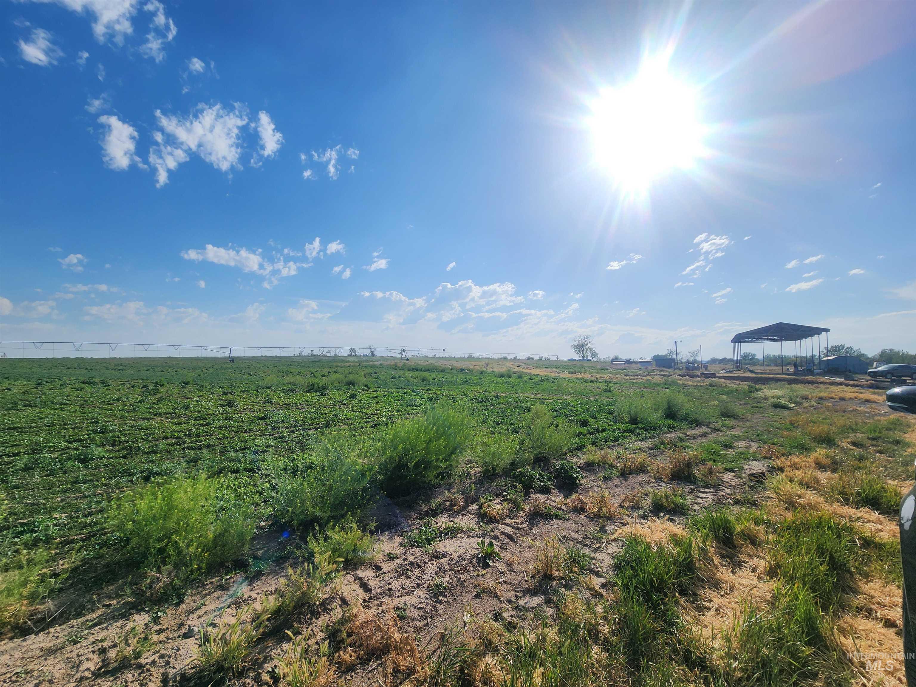 431 W 20 S, Burley, Idaho 83318, Farm & Ranch For Sale, Price $1,100,000,MLS 98994134